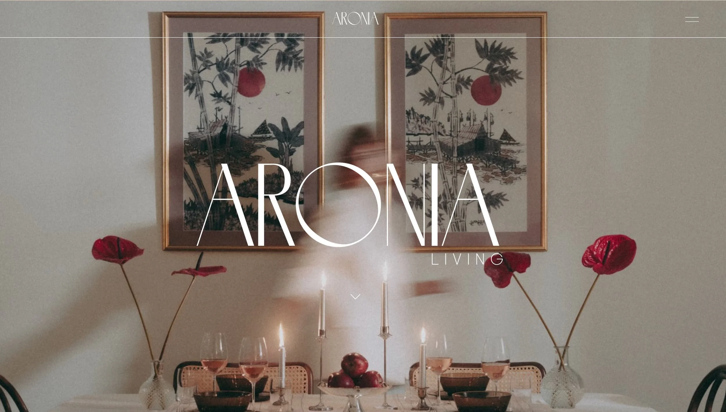 Aronia web design visual