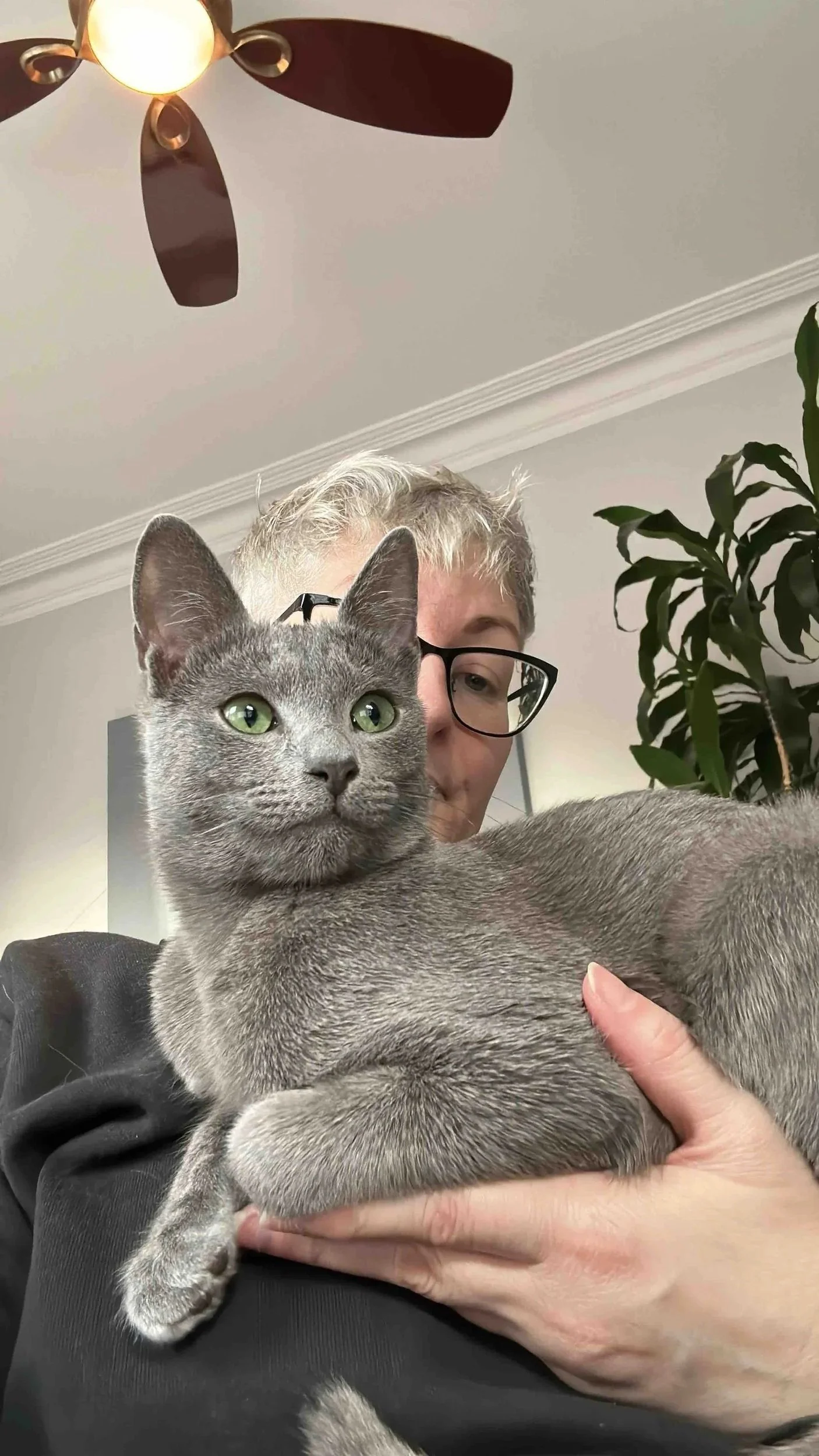 Portrait of Meraki Branding client