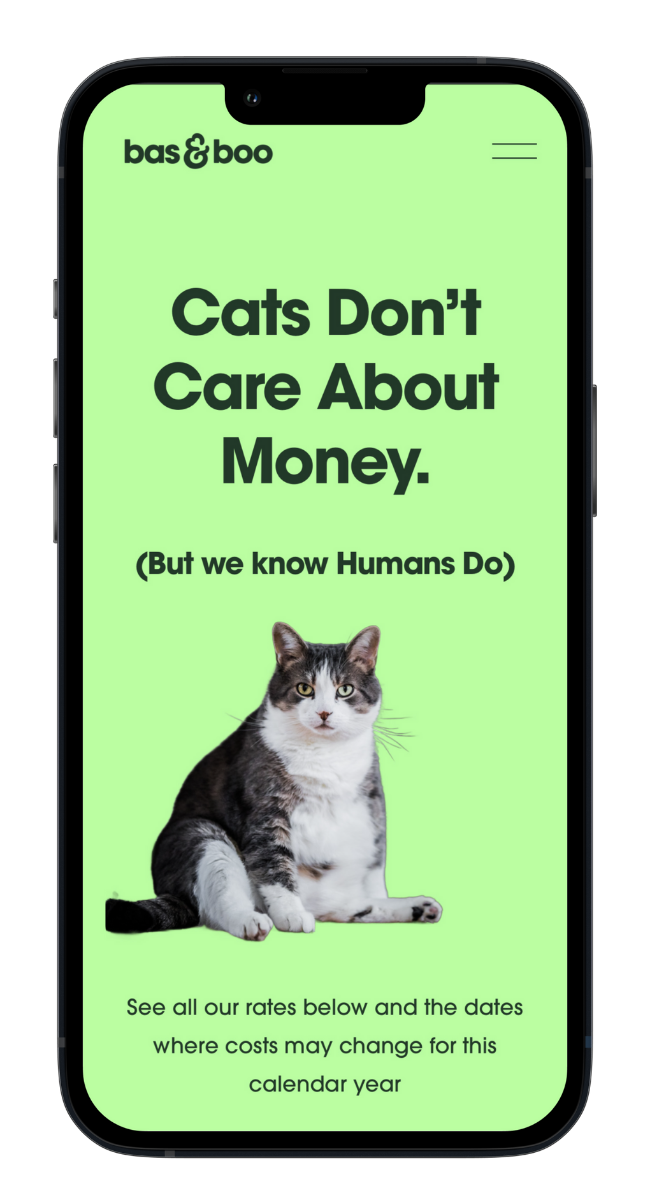 Bas and Boo website mobile optimization