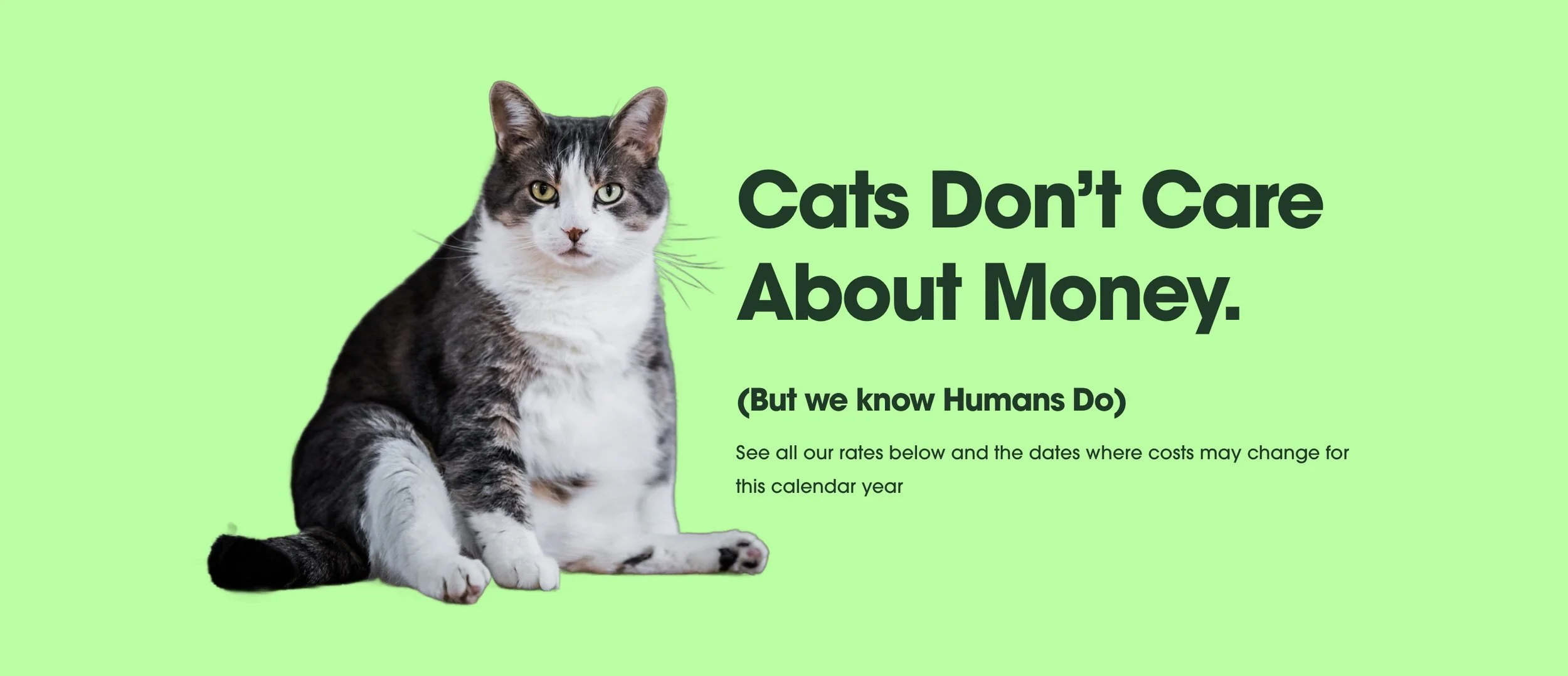 Web design project example