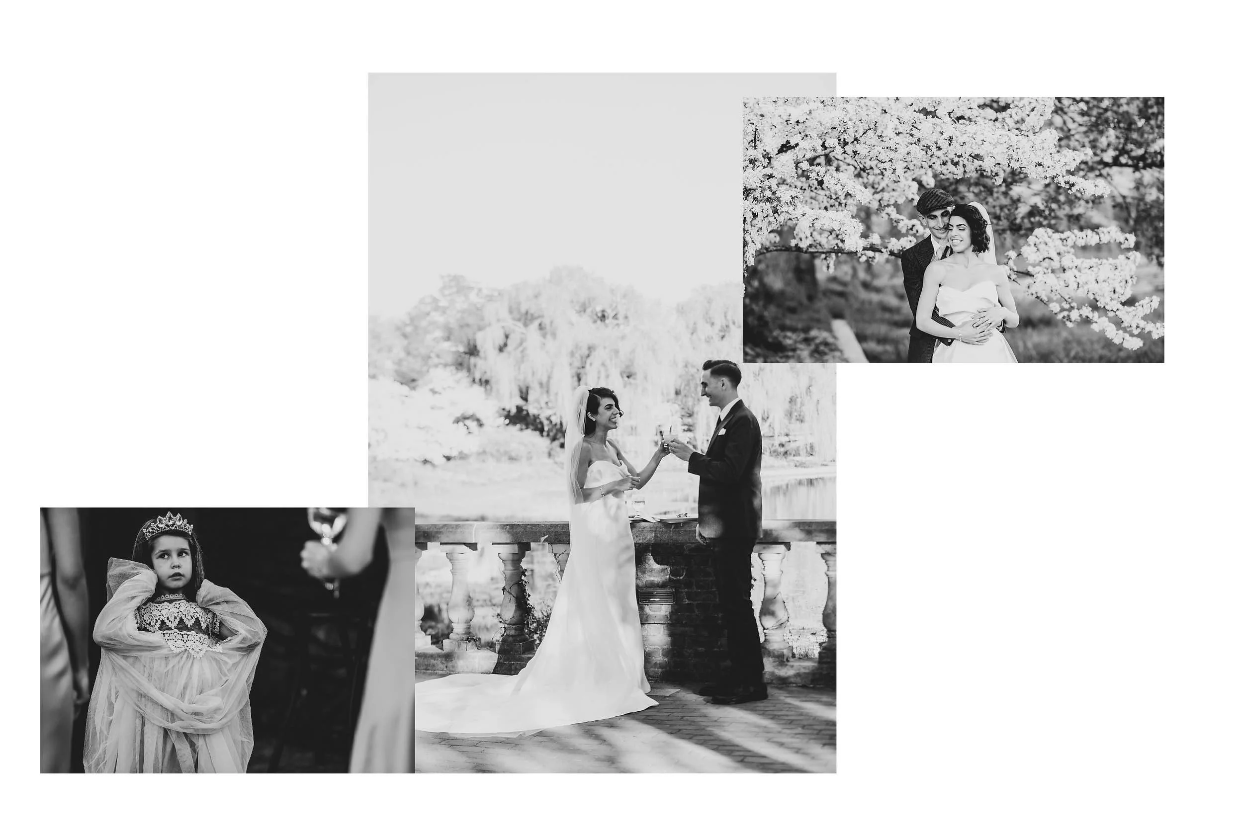 Brand identity project graphic