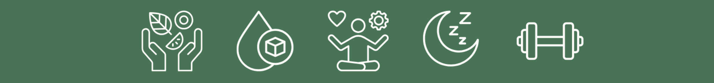 Five Foundations Wellness website screenshot