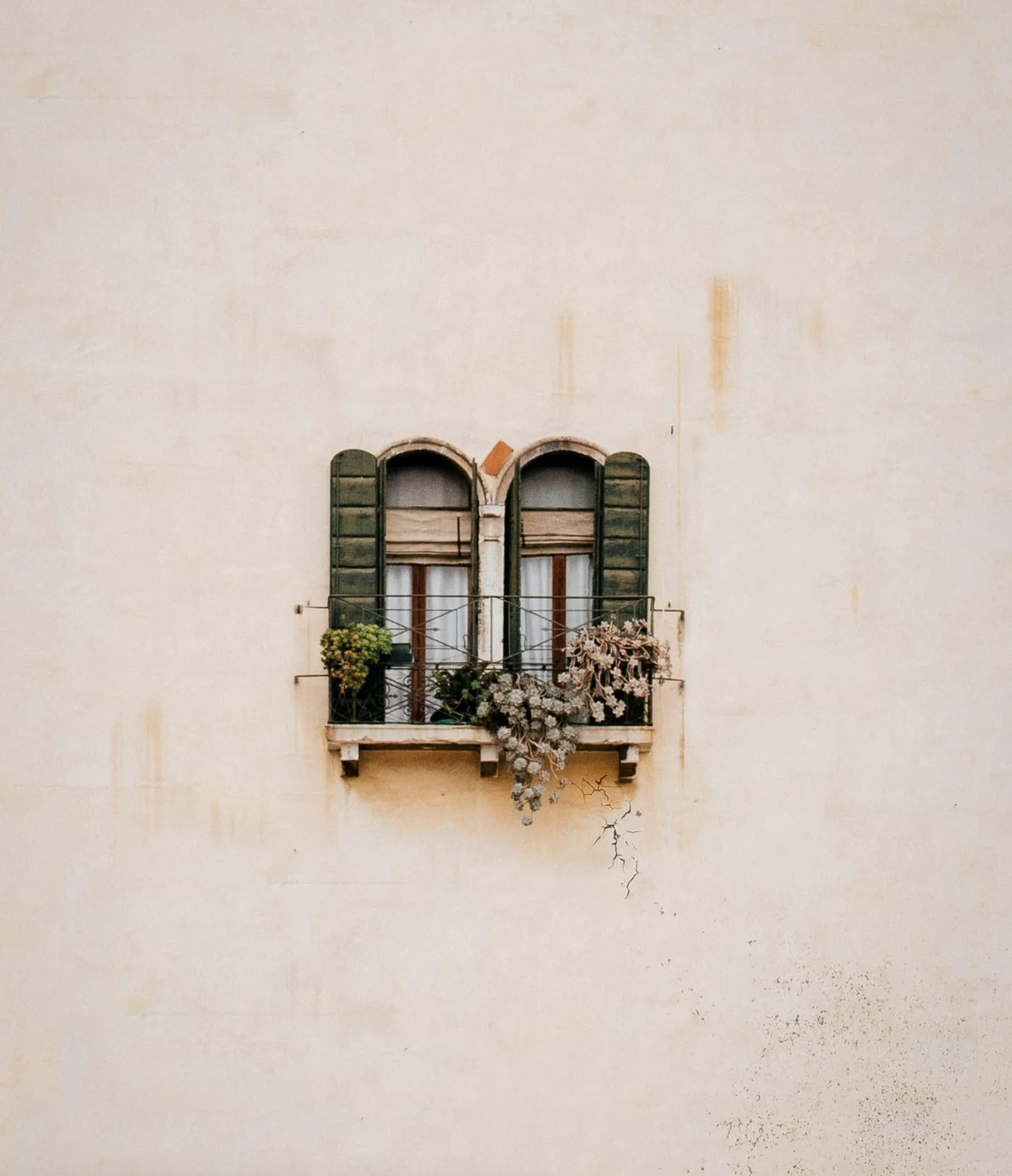 Window with two green shutters and a planter