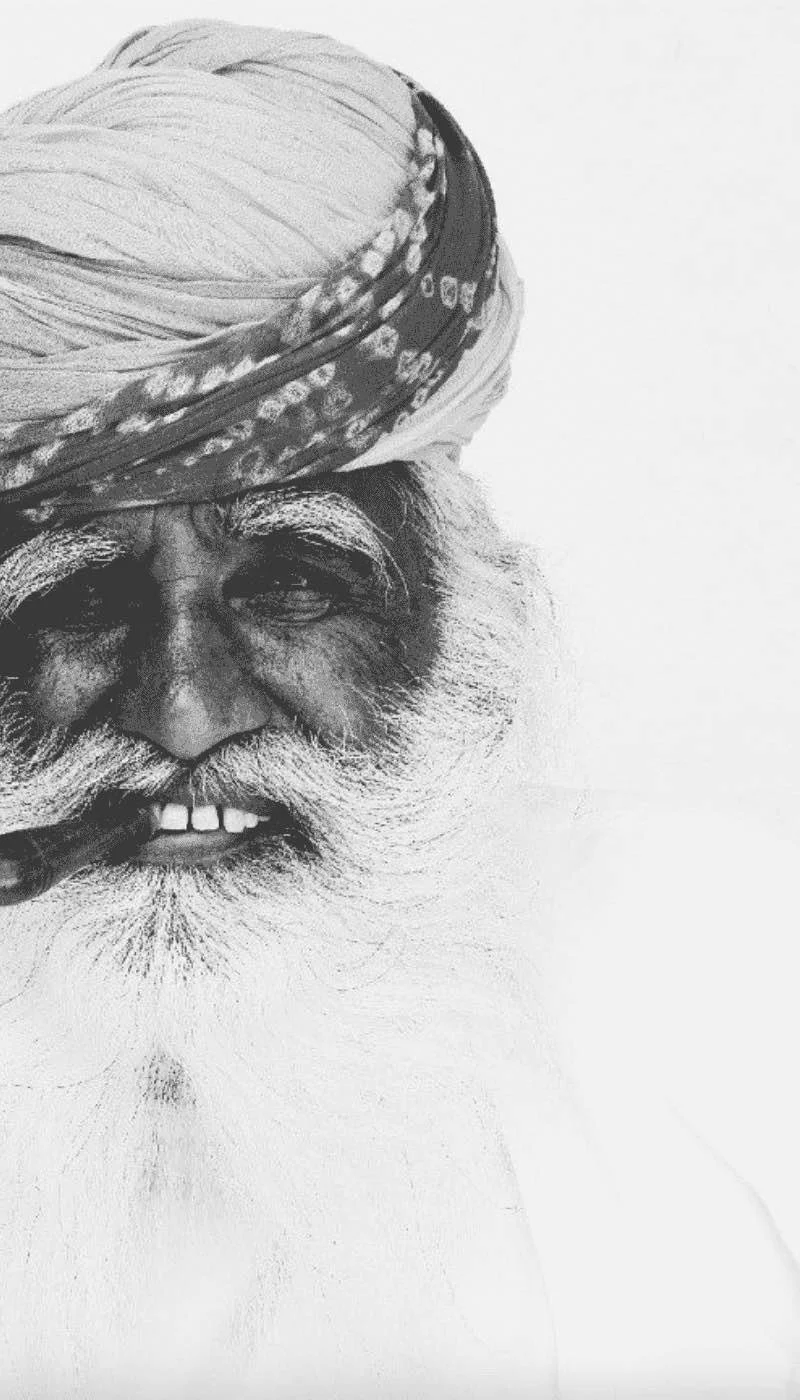 Lila Fox branding visual