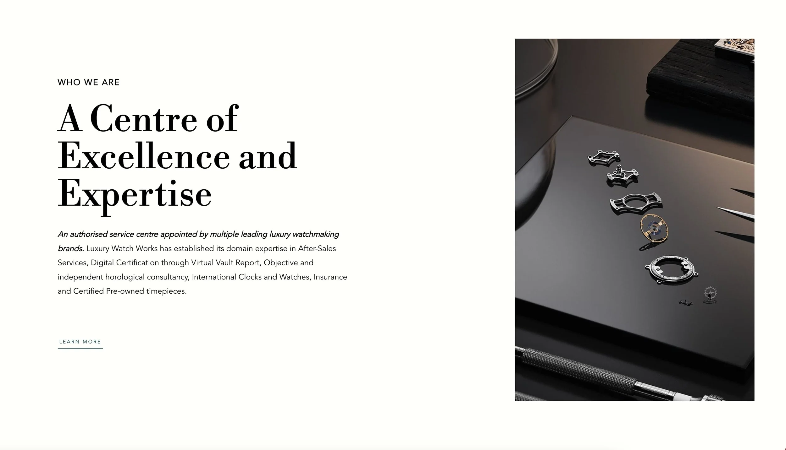 Webpage section showcasing company's informations