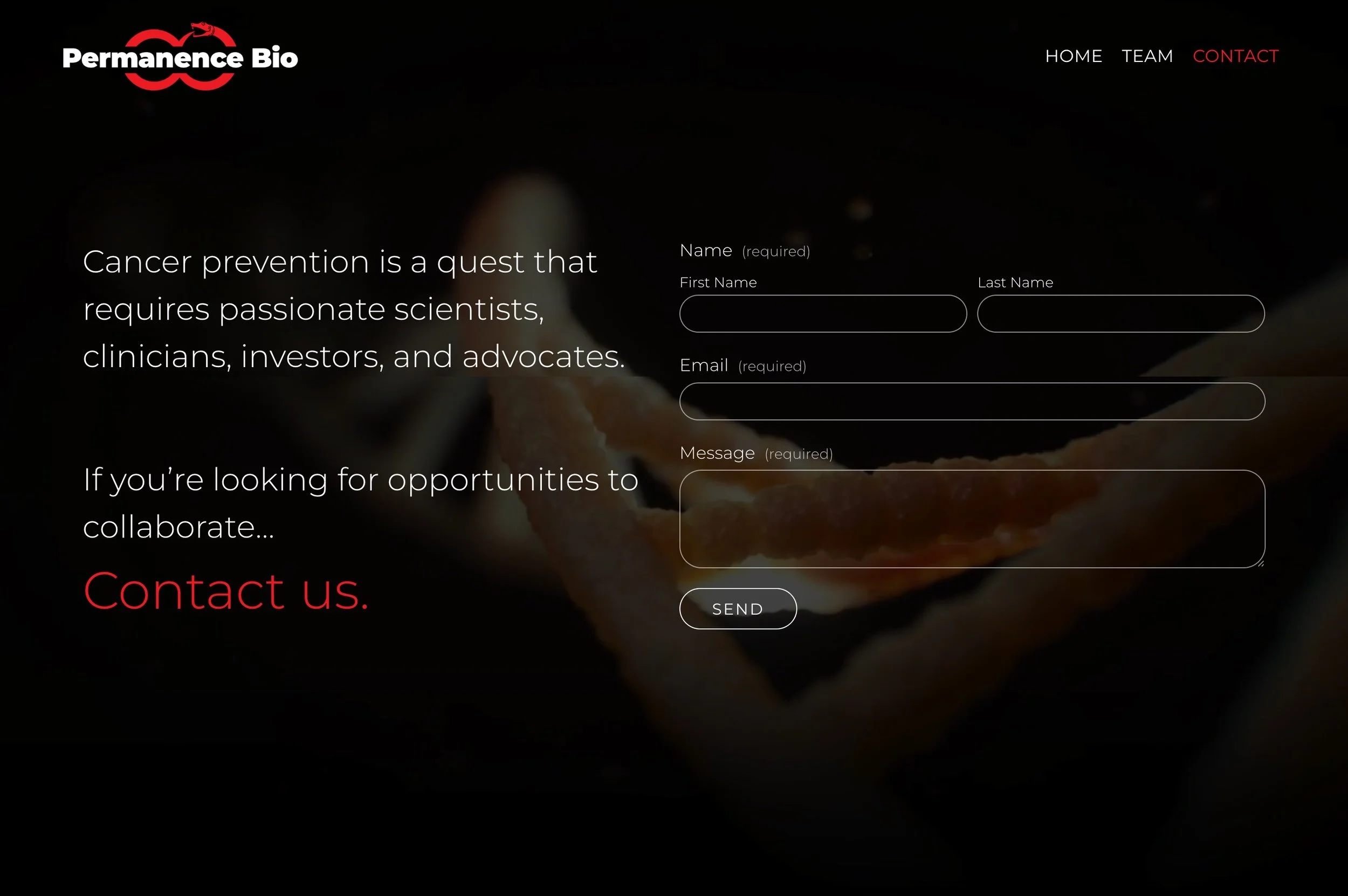 Permanence Bio website design