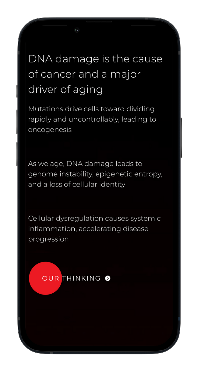 Phone mockup of Permanence Bio mobile website design