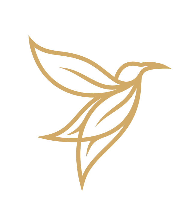 Qualia Travel branding