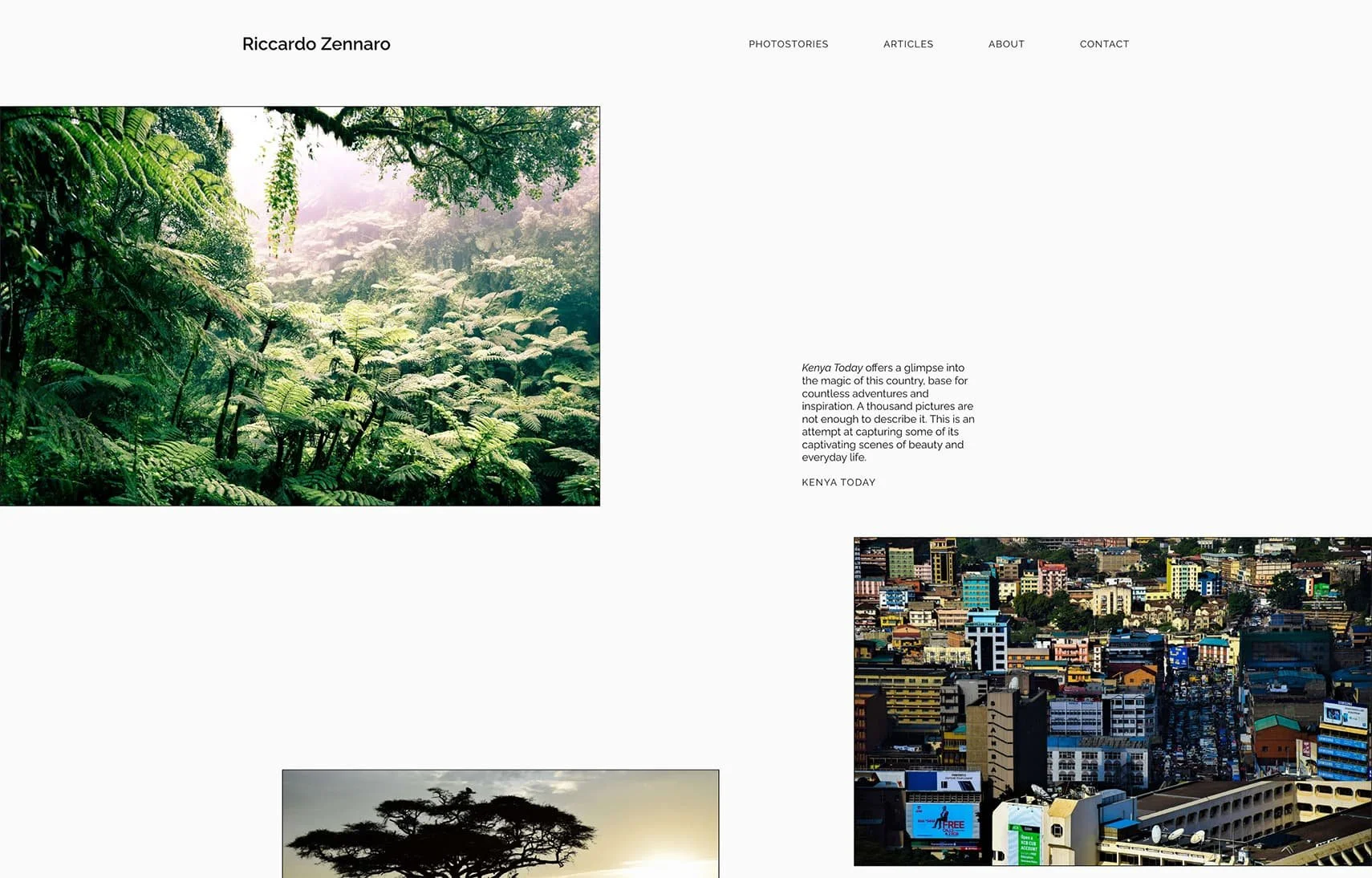 Riccardo Zennaro website design