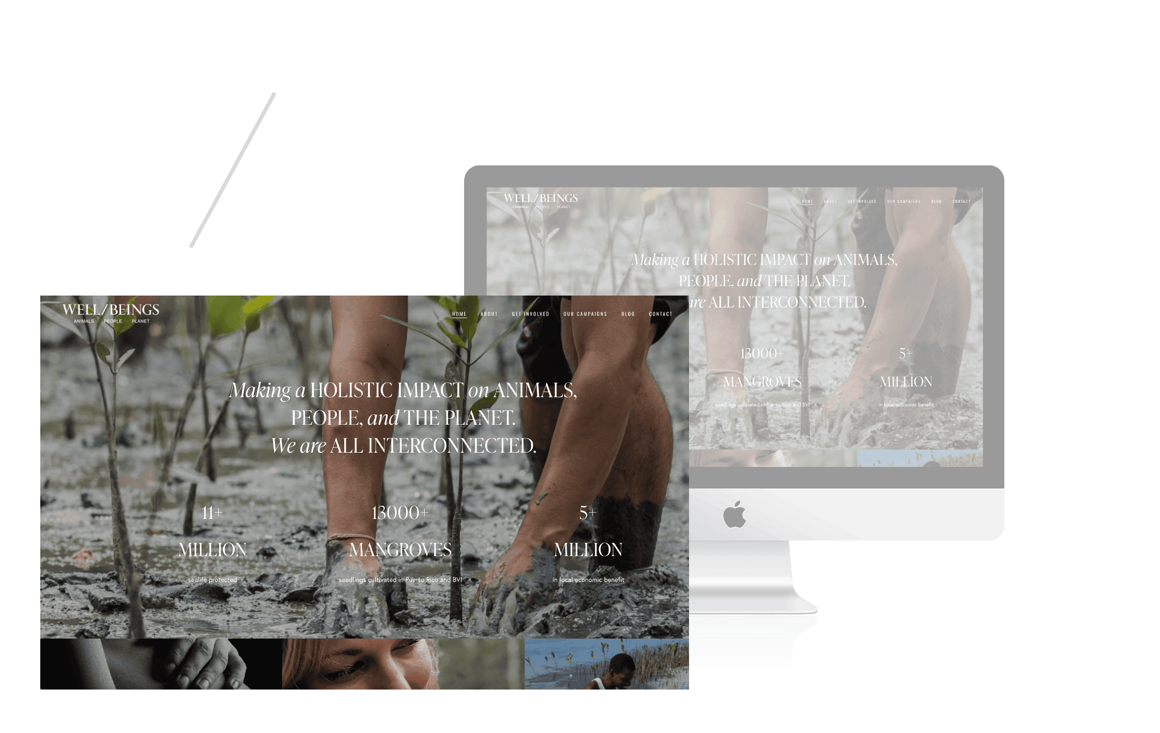 Well Beings branding and website design