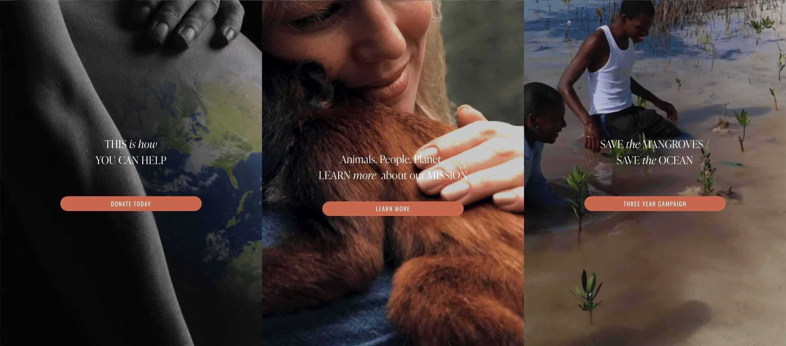 Non-profit custom website design