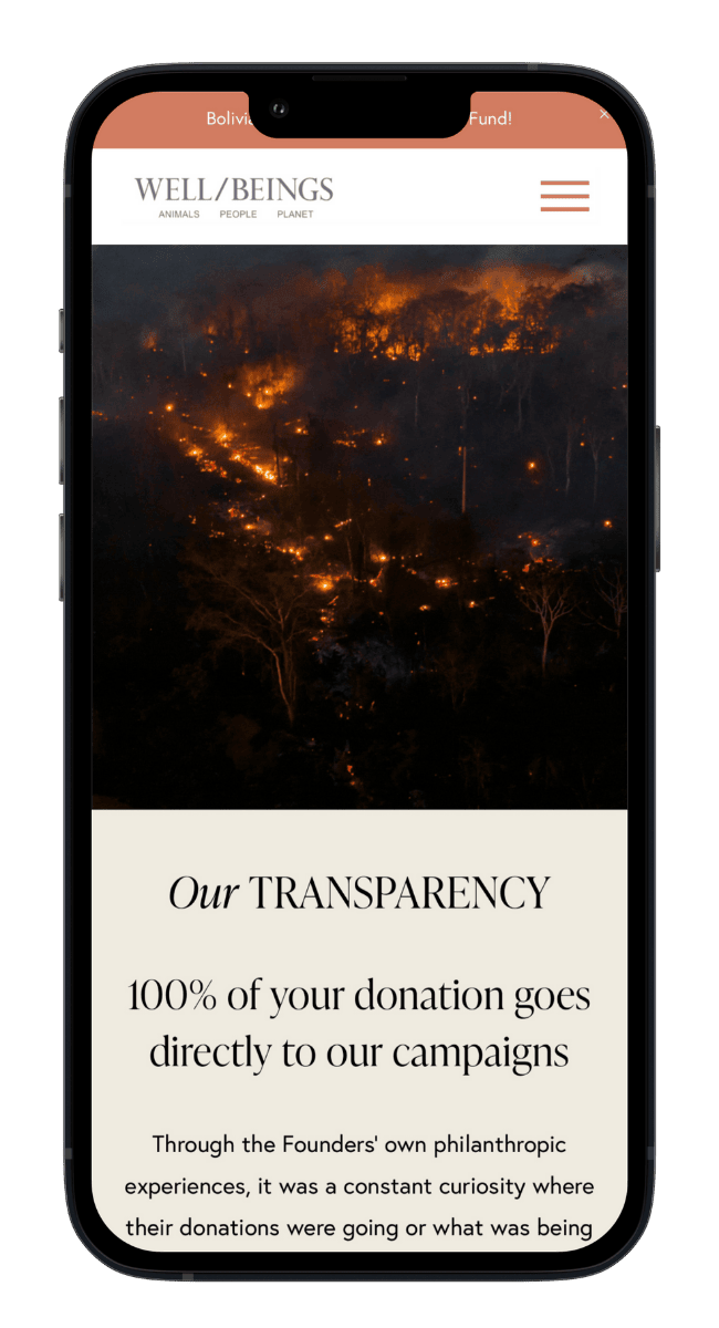 Well Beings website mobile optimization