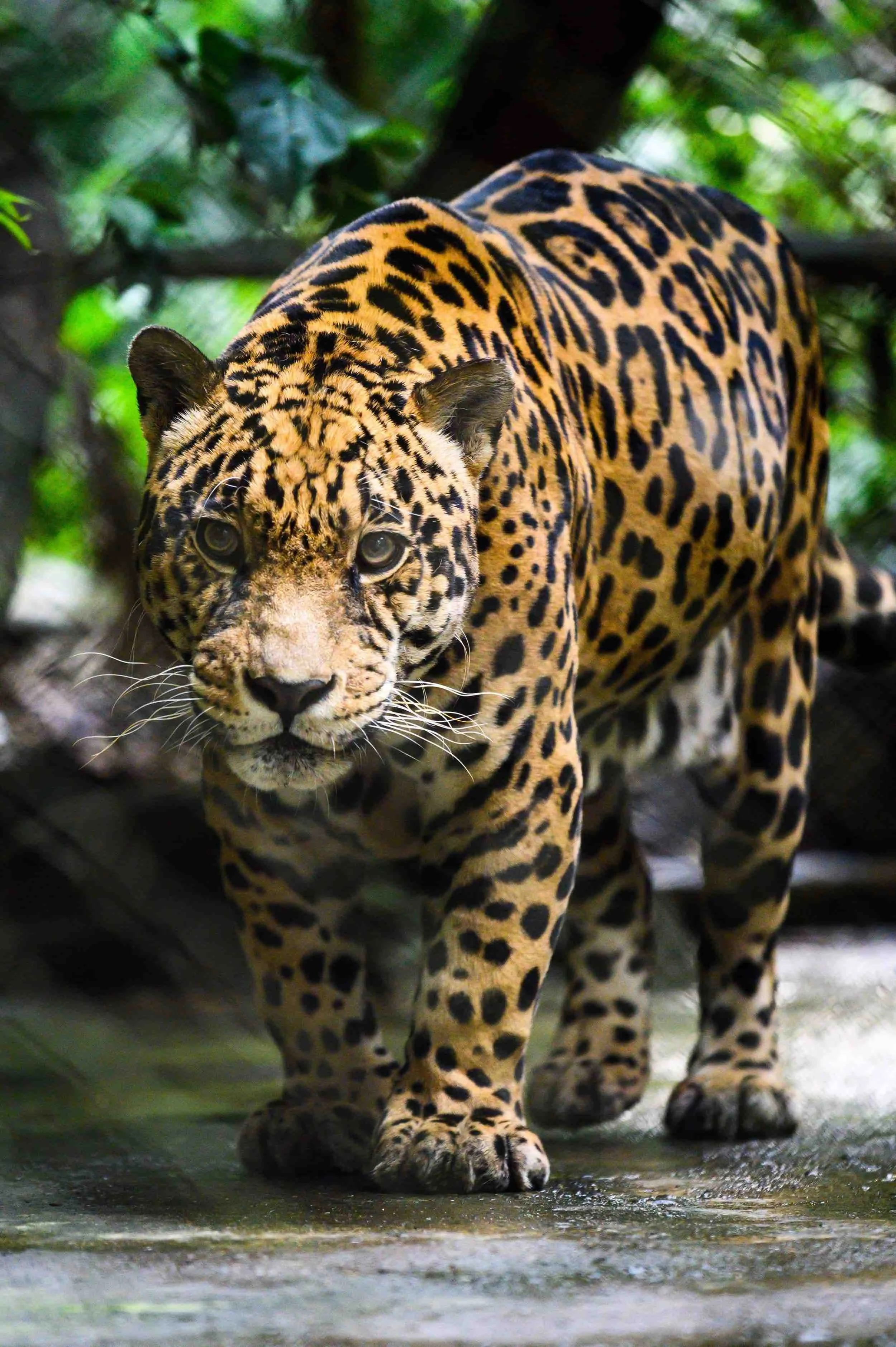 Non-profit brand identity