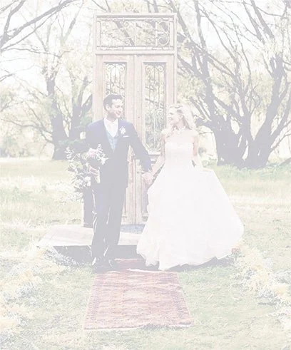 Wild Whispers branding