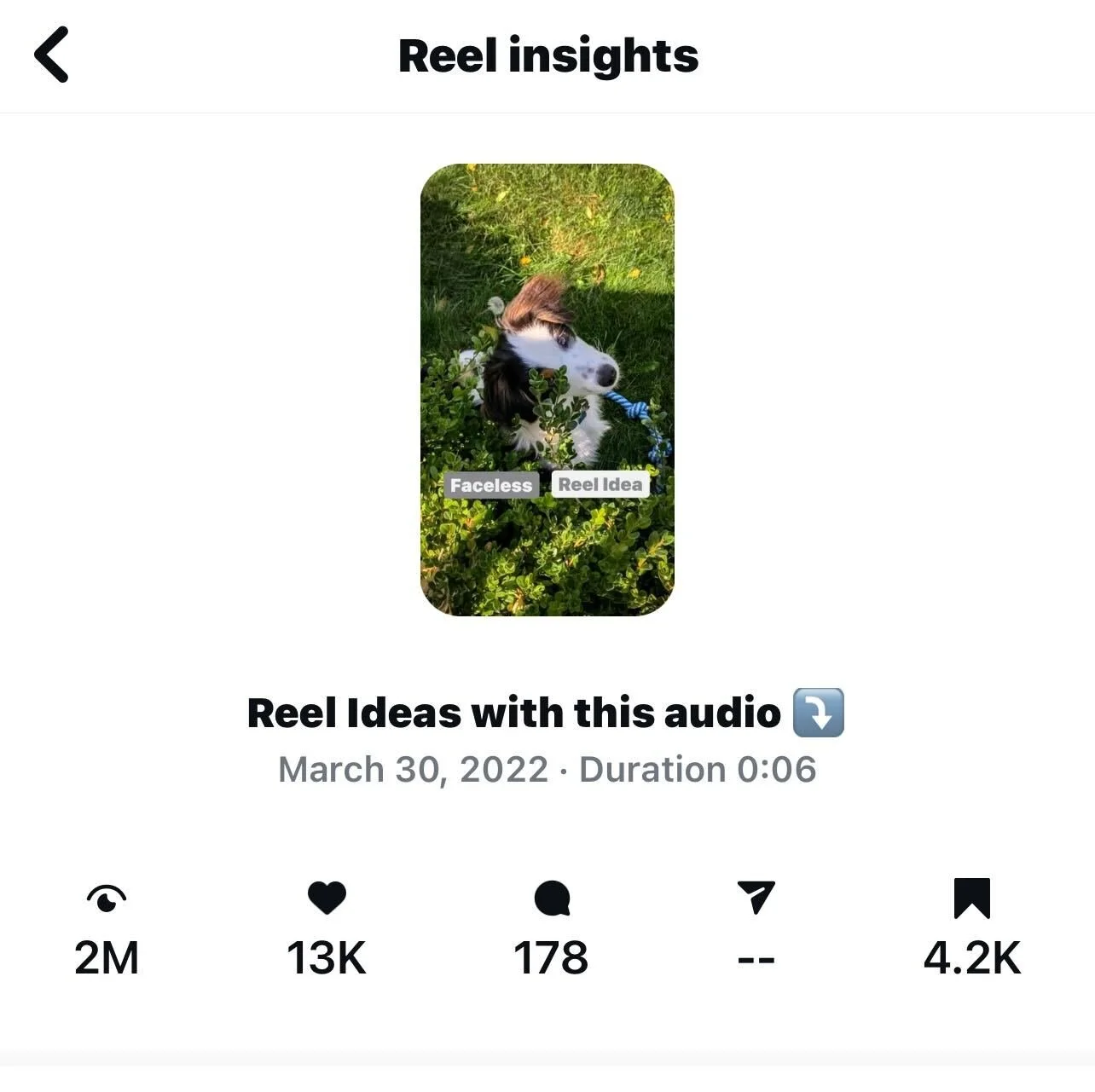 Instagram Reel Insights