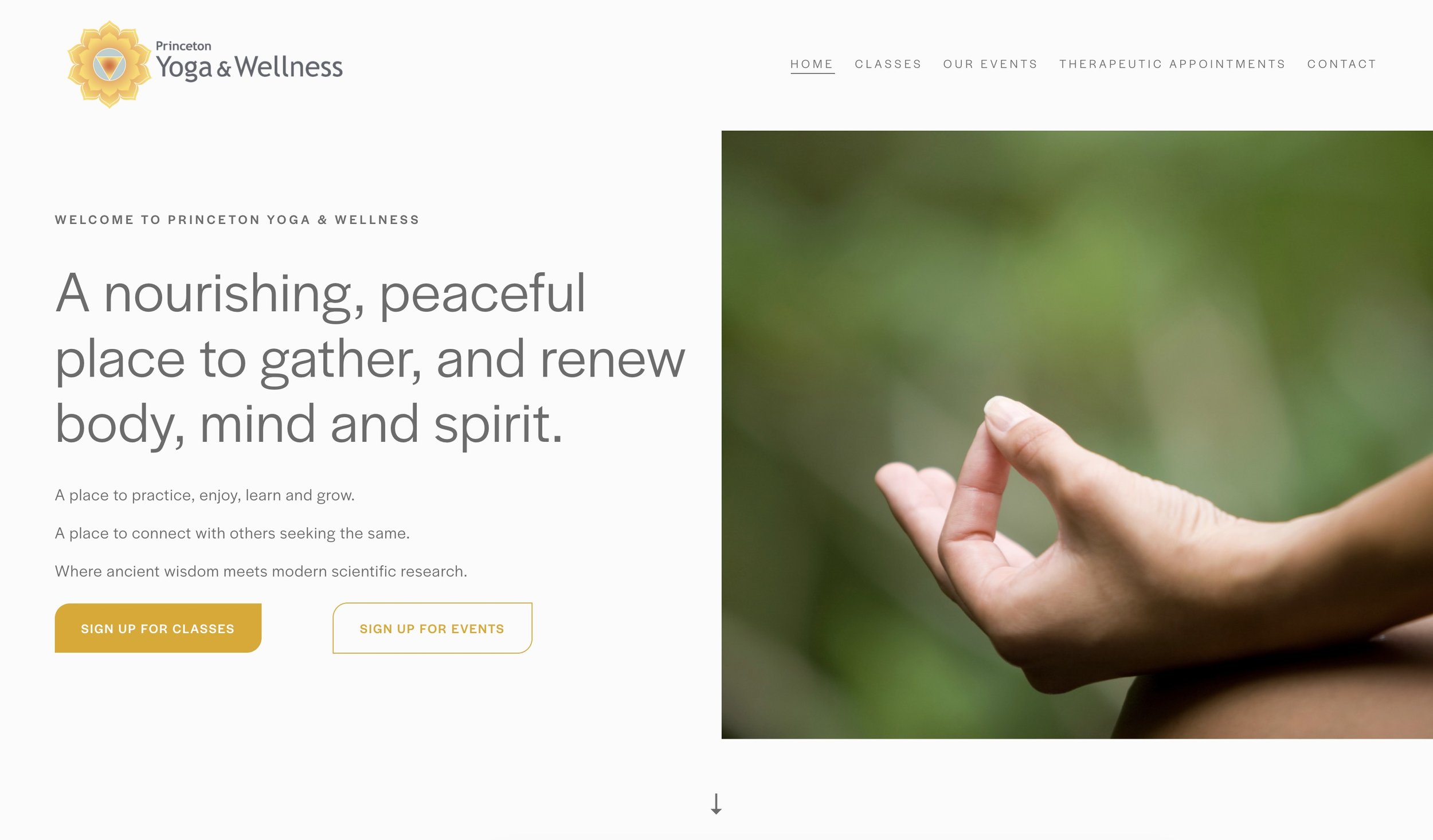 Princeton Yoga & Wellness website screenshot