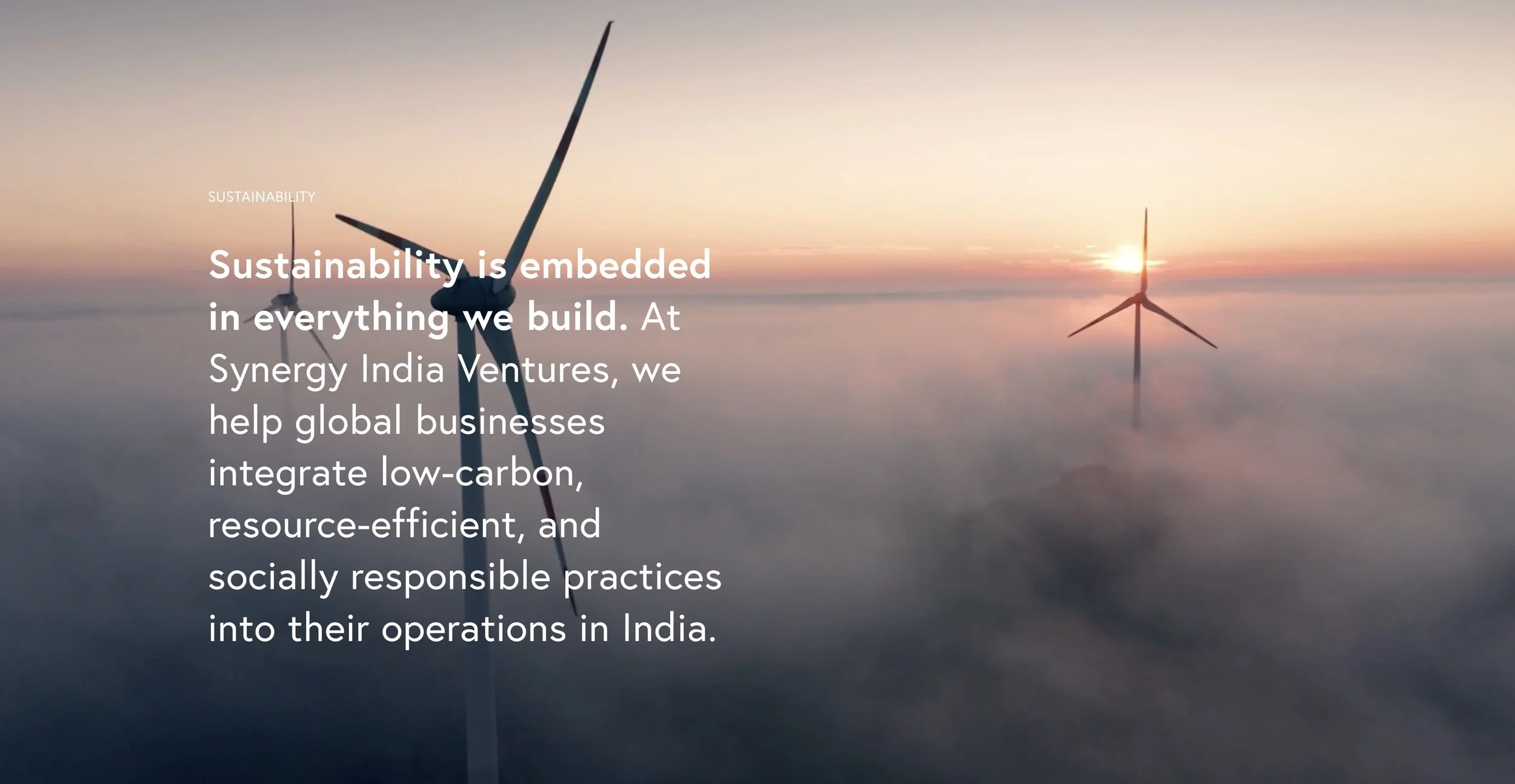 Synergy India Ventures website screenshot