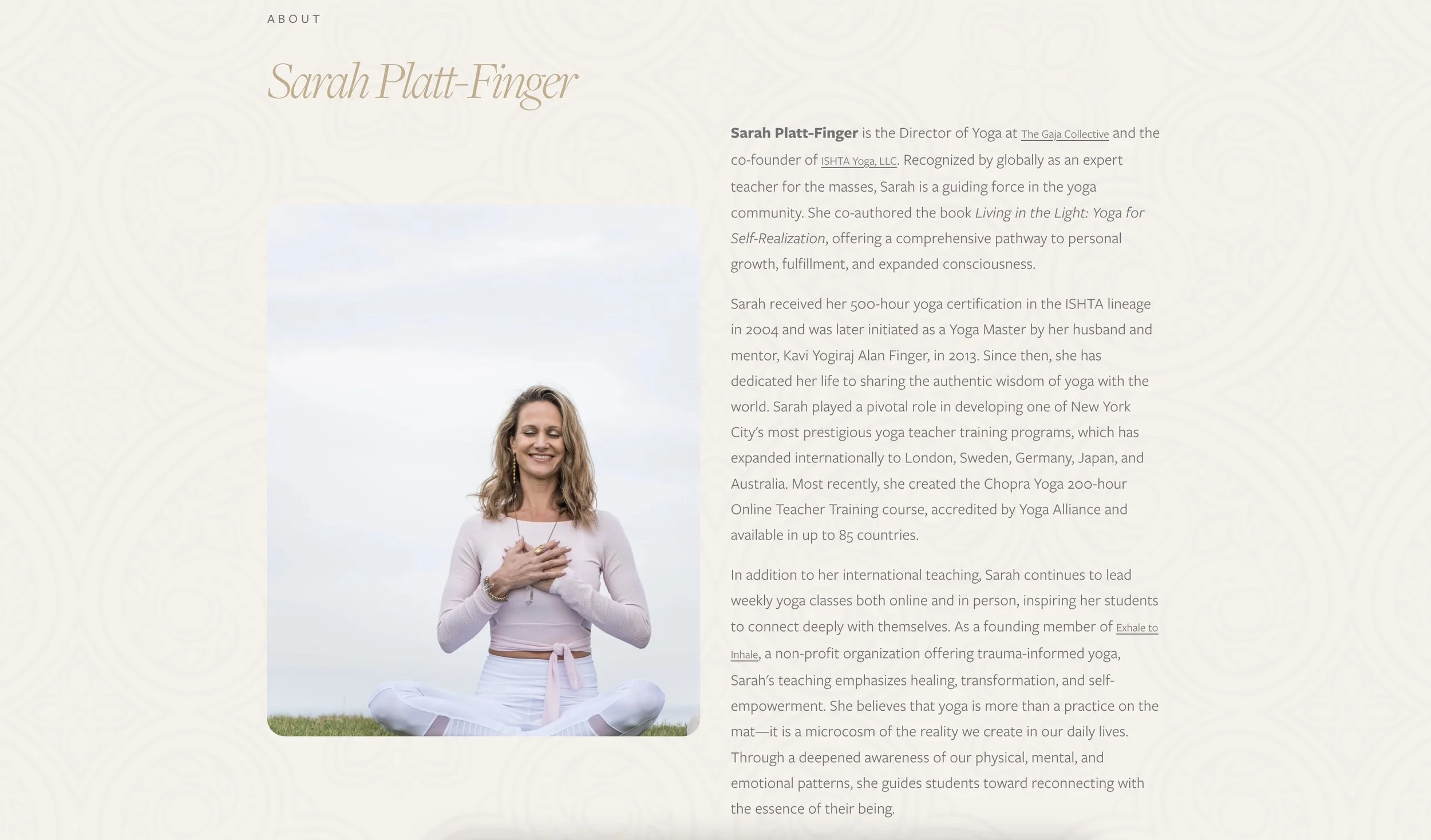 Sarah Platt-Finger website screenshot