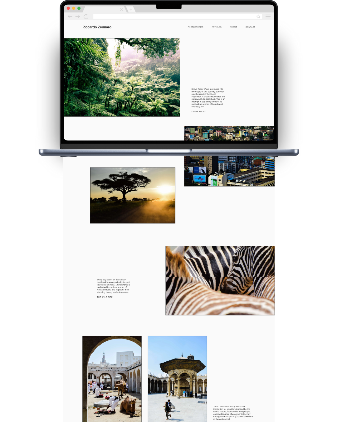 Screenshot of a webpage showcasing various nature and urban images, including a dense green forest, a lone tree at sunset, zebra stripes, and historical architecture.