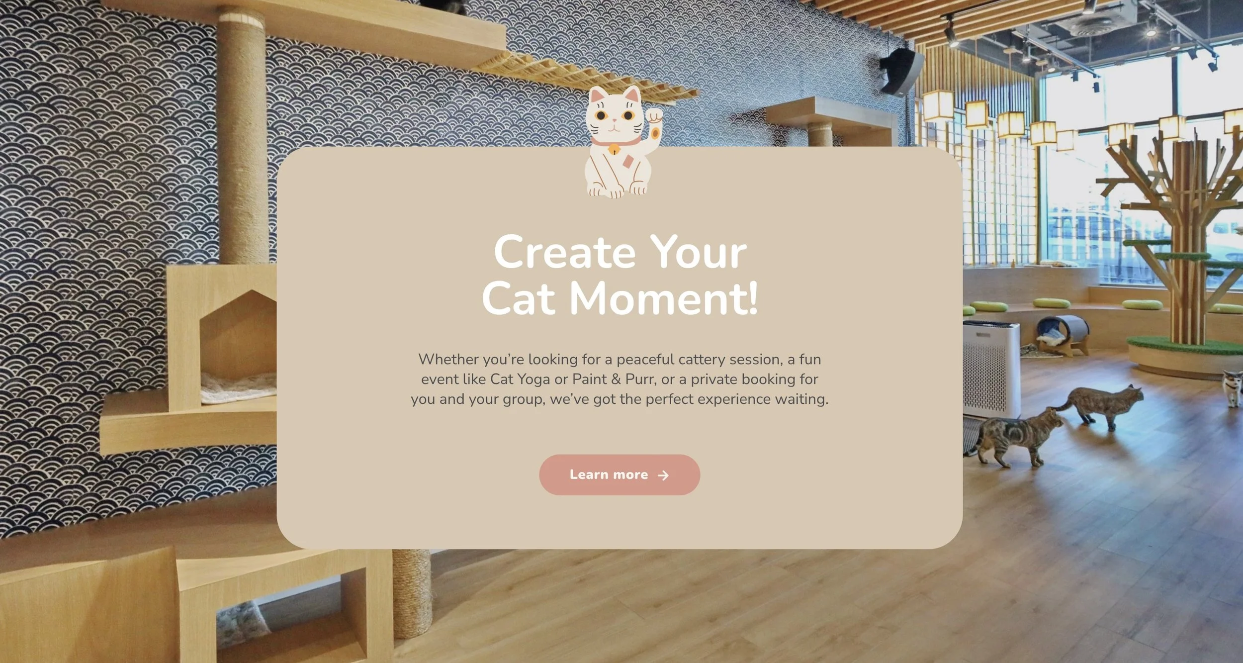 Kokoro Cat Café website screenshot