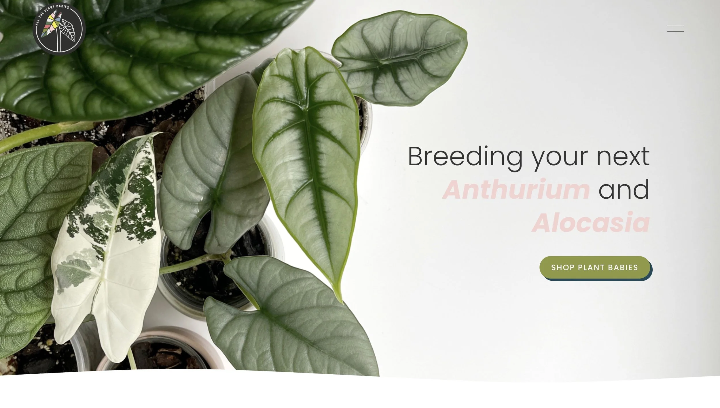 All the plant babies website screenshot