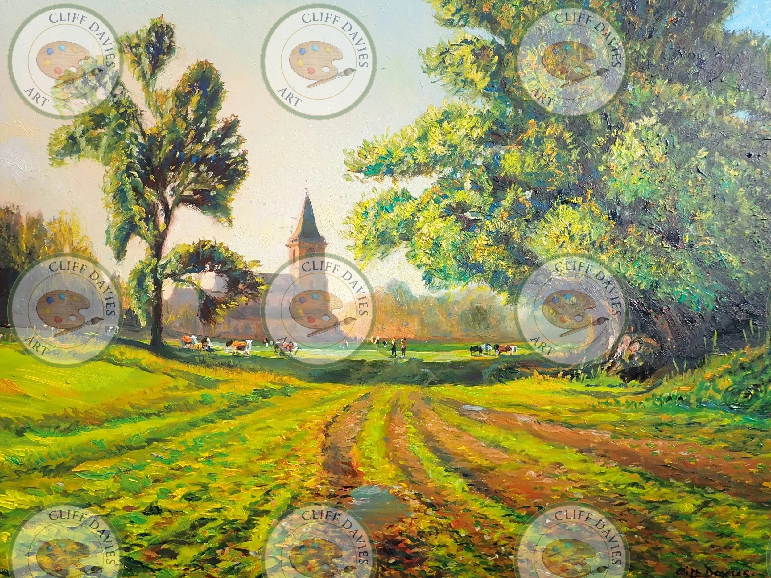 Alford Summer Meadow