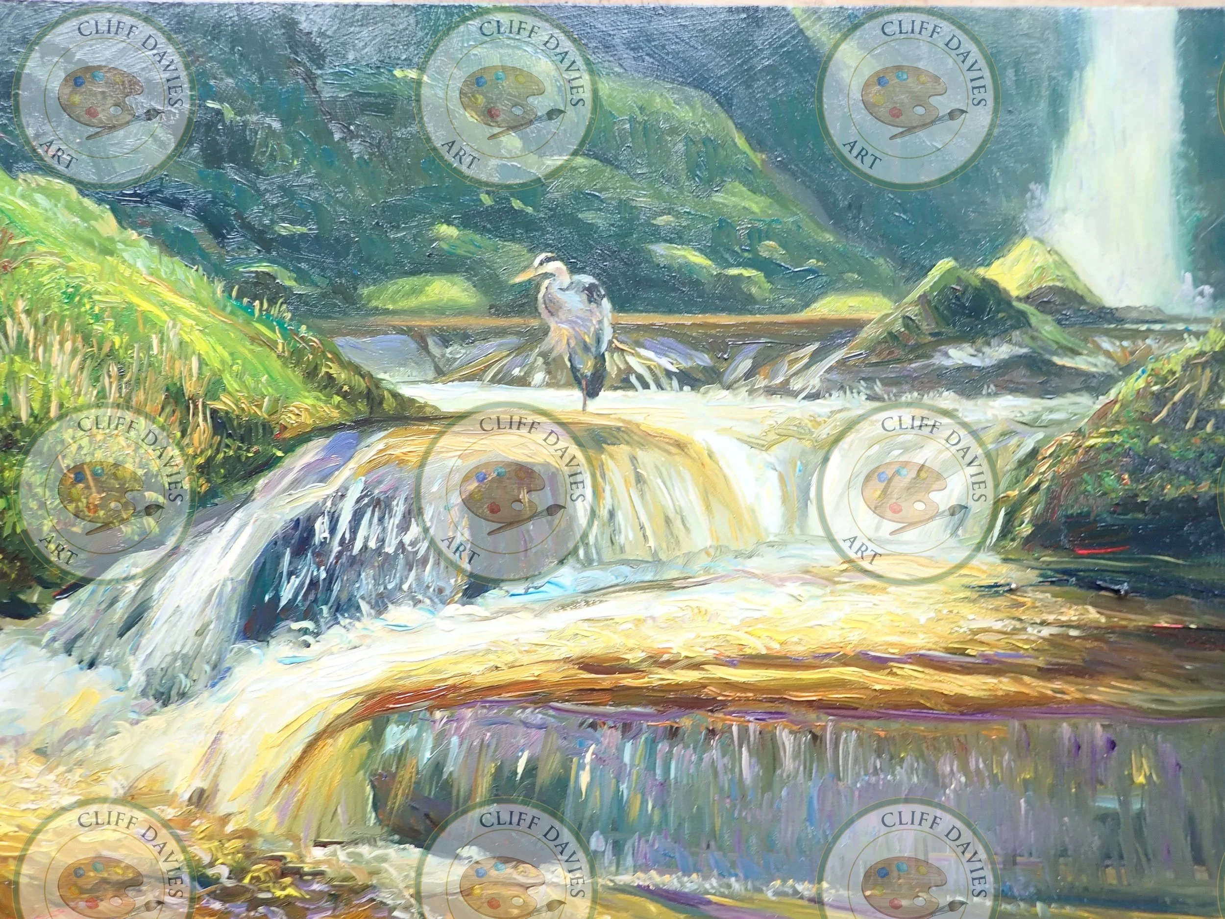 Heron at Pistyll Rhayader