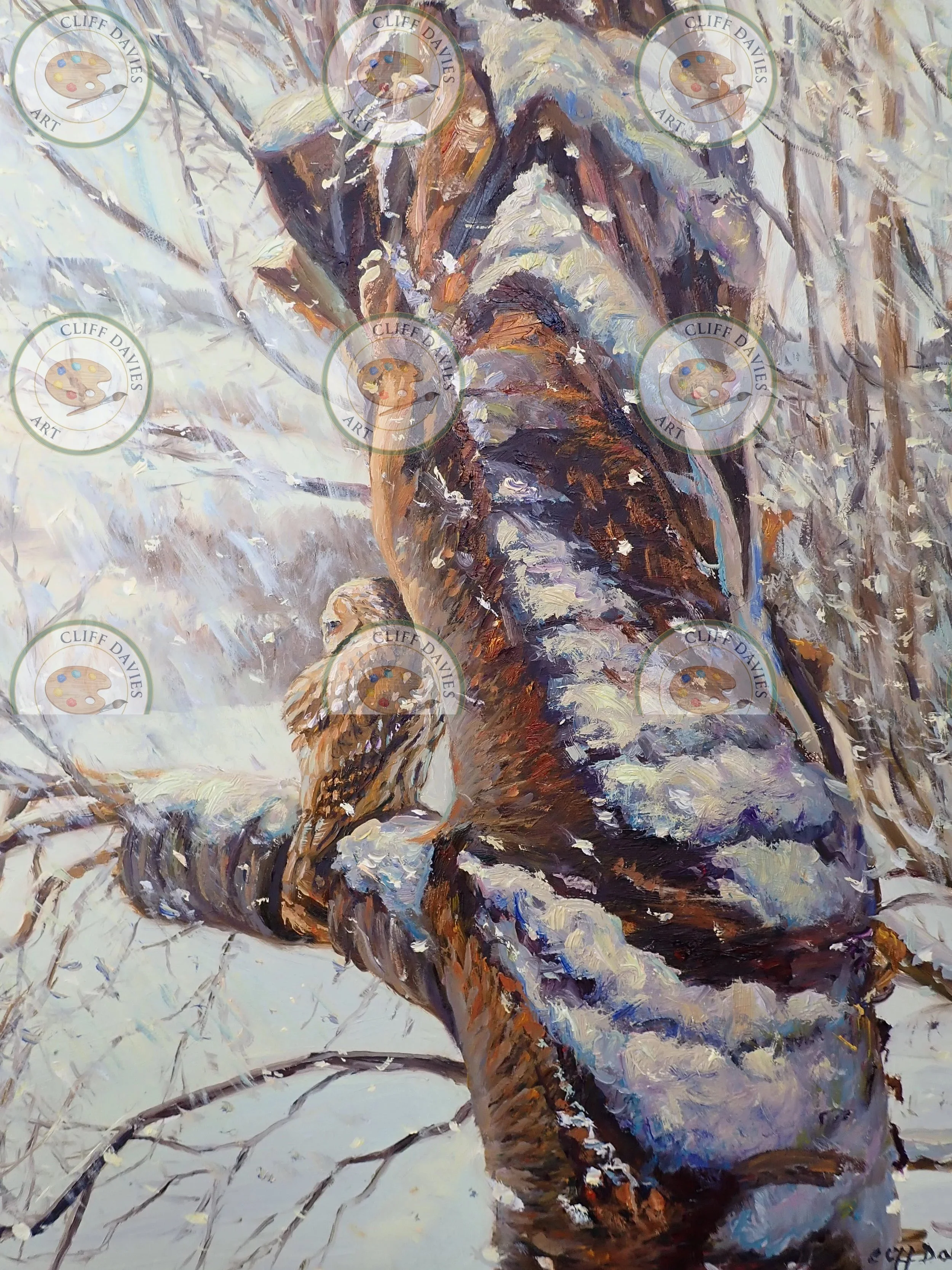 Hiding from the Blizzard