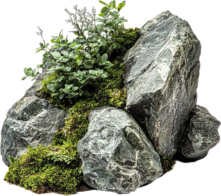 Arrangement of large gray rocks with green moss and small plants growing between them.