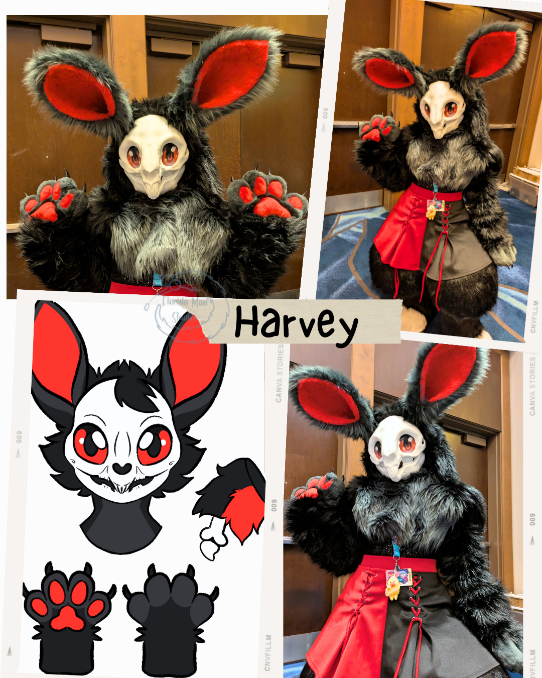 2025 Megaplex Premade