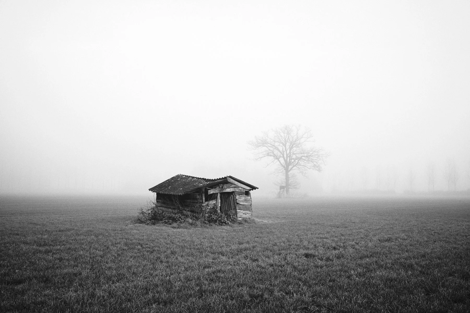 A black and white photo of an old, dilapidated wooden shed in a foggy field with a large, leafless tree in the background.