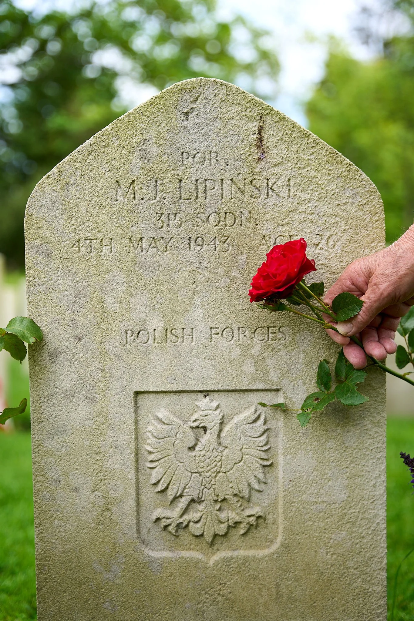 Gravestone with Polish eagle emblem and an inscription, a hand holding a red rose rests on the stone