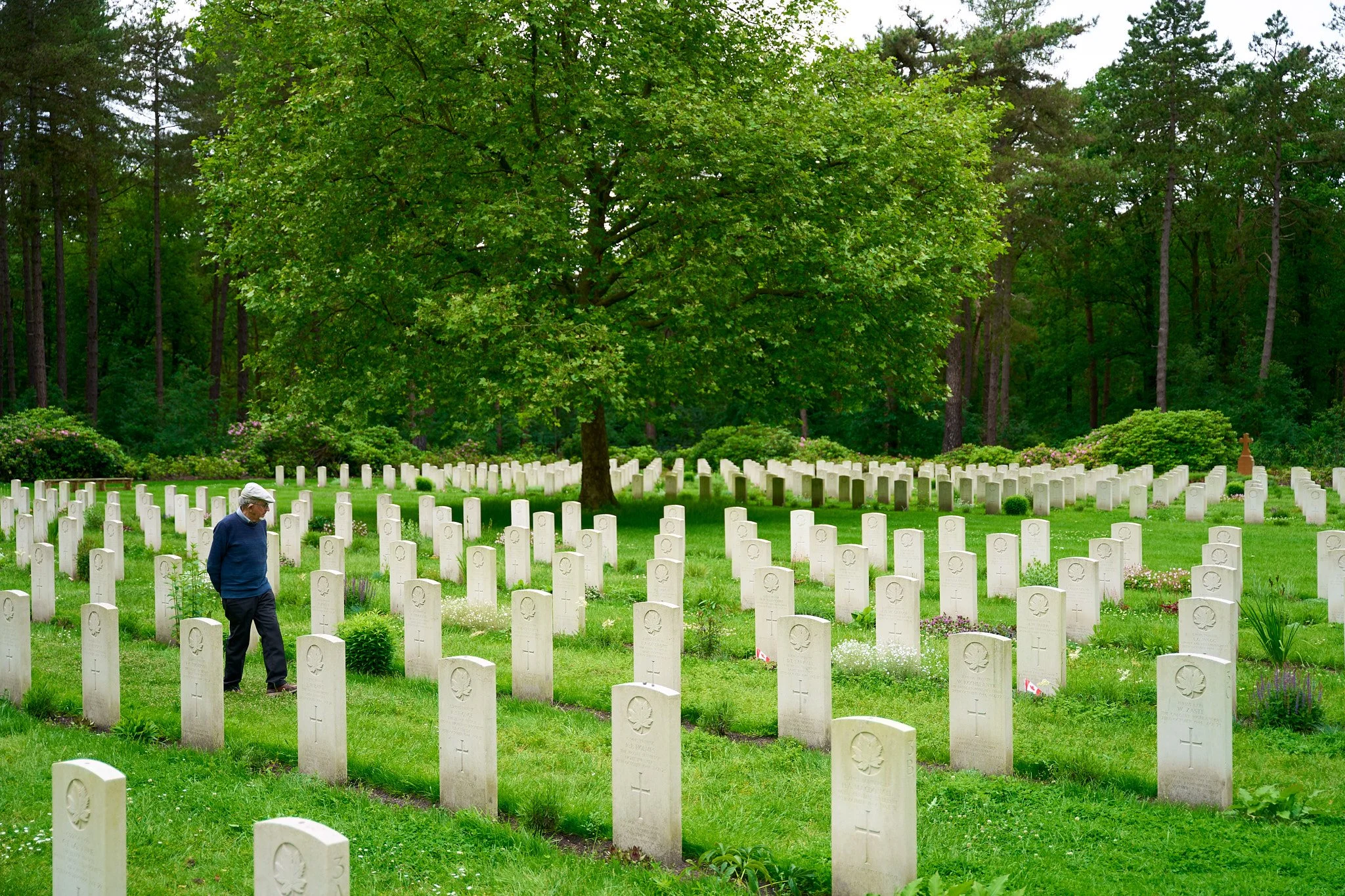 A man in a blue sweater and cap walks among white headstones in a cemetery with green grass and trees in the background.