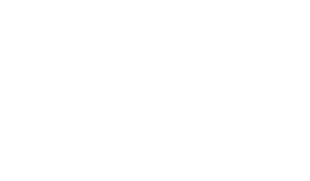 Agents we work with: Bolst Logo