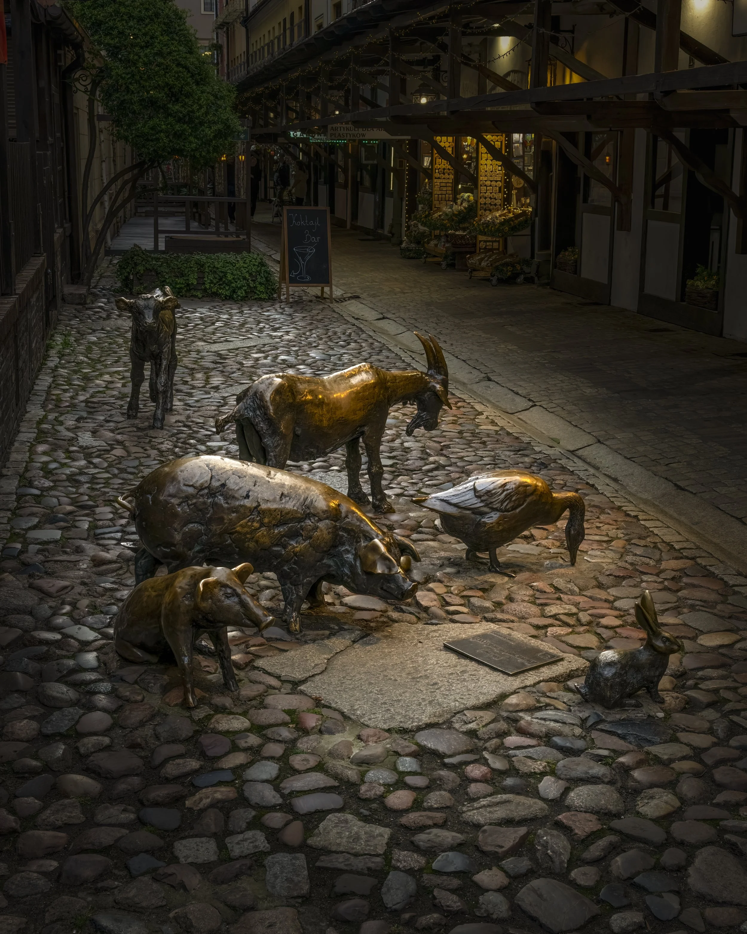 Butchers Alley, Wroclaw