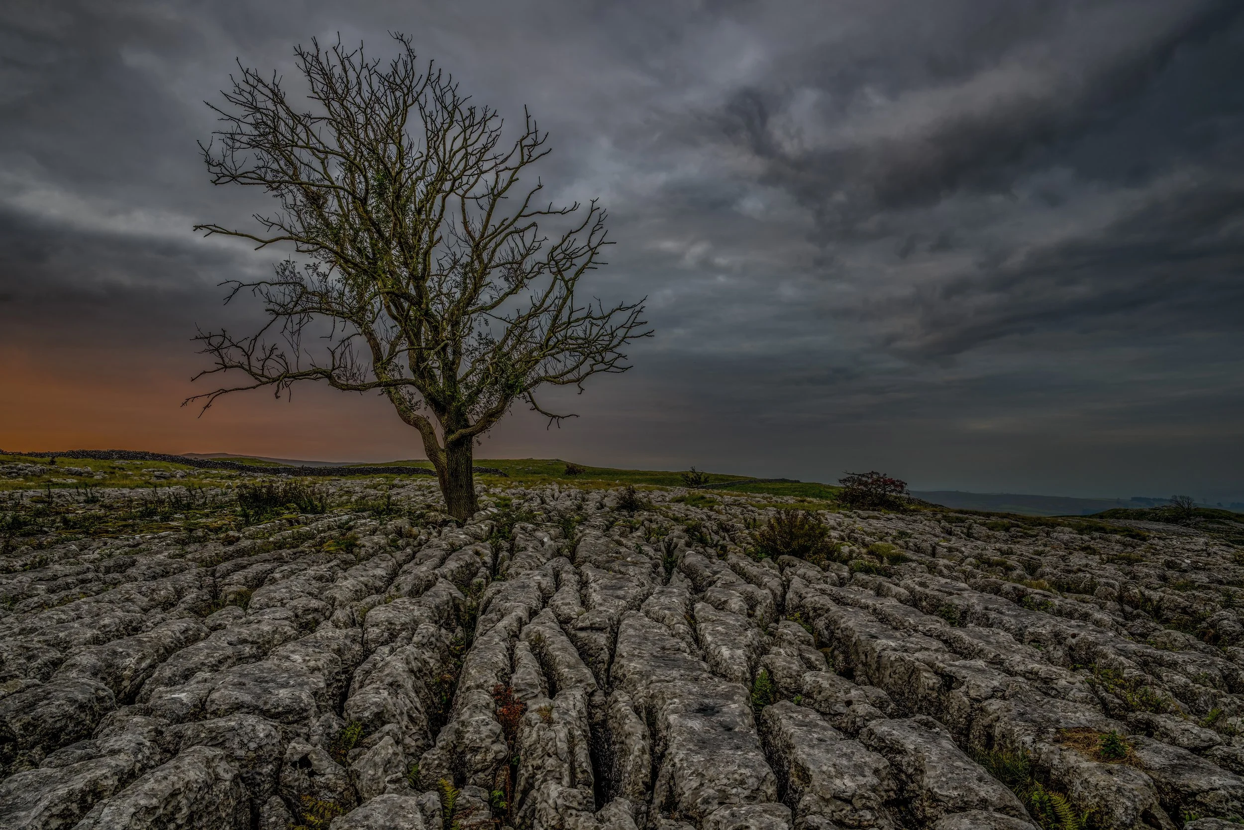 Sunrise Malham Lone Tree, Malham Cove