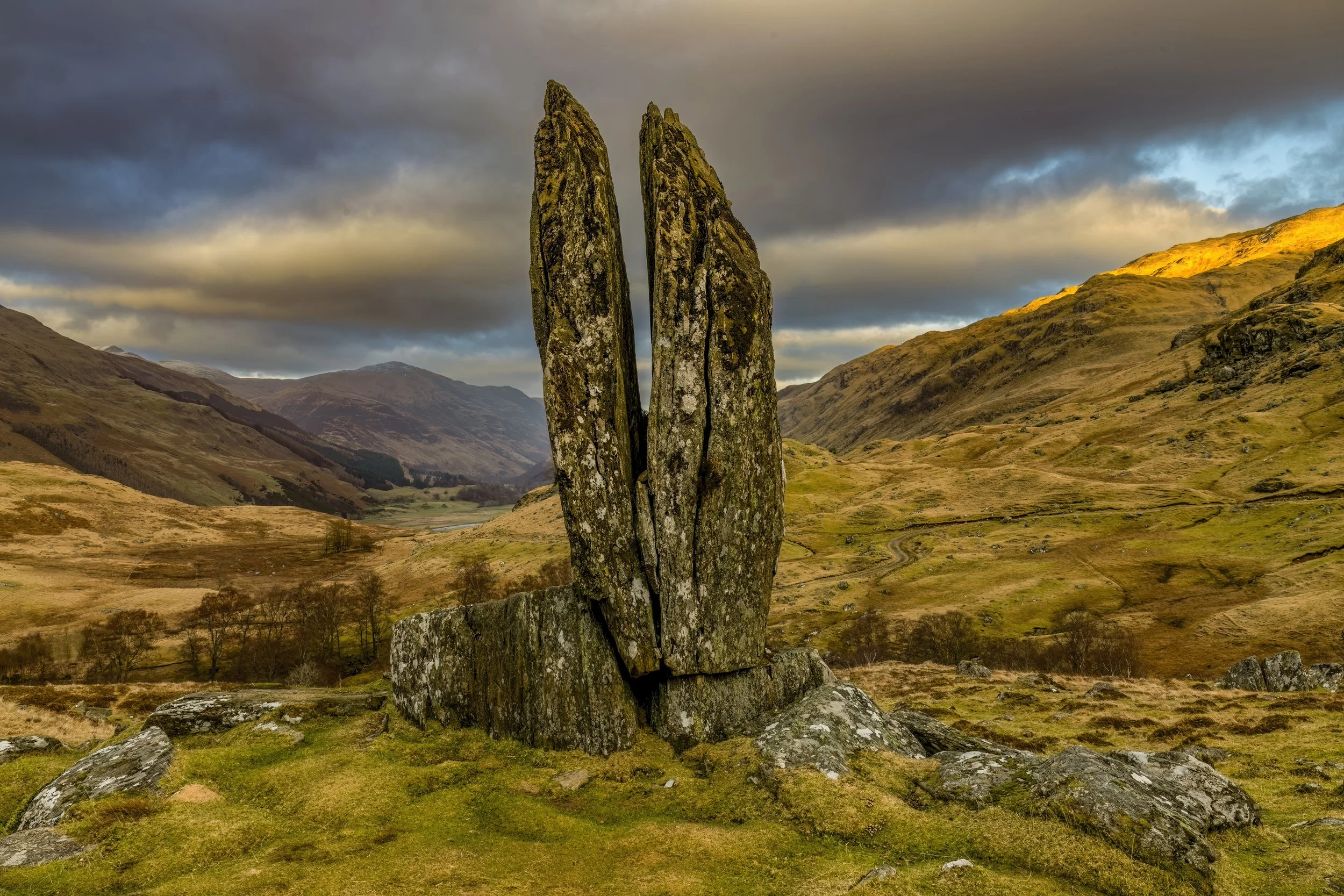 The Praying hands of Mary 