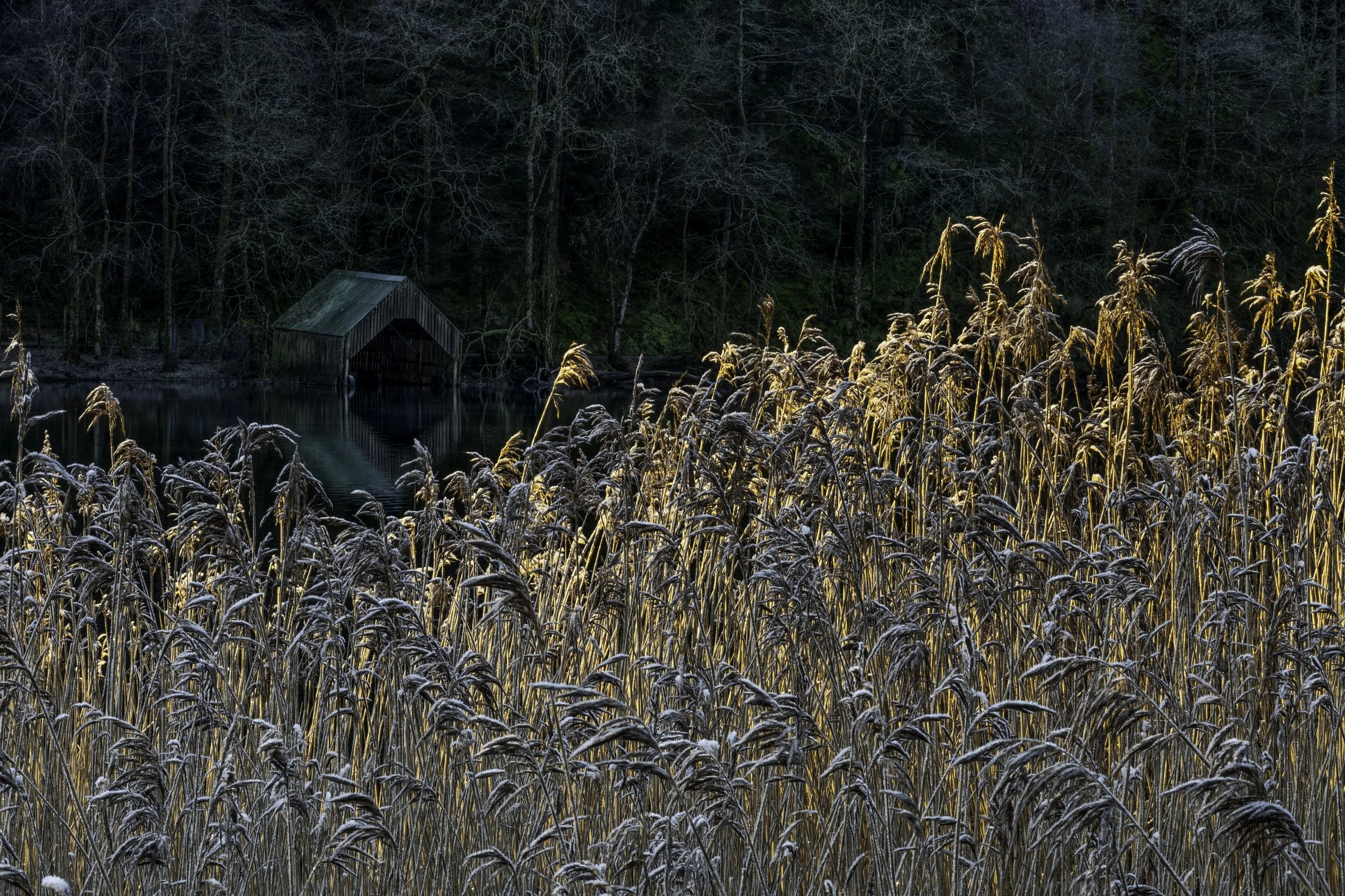 Boathouse, Loch Ard