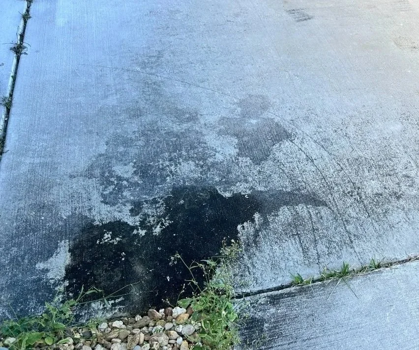 Concrete sidewalk with a dark stain near the bottom left, small green plants and rocks along the edge.