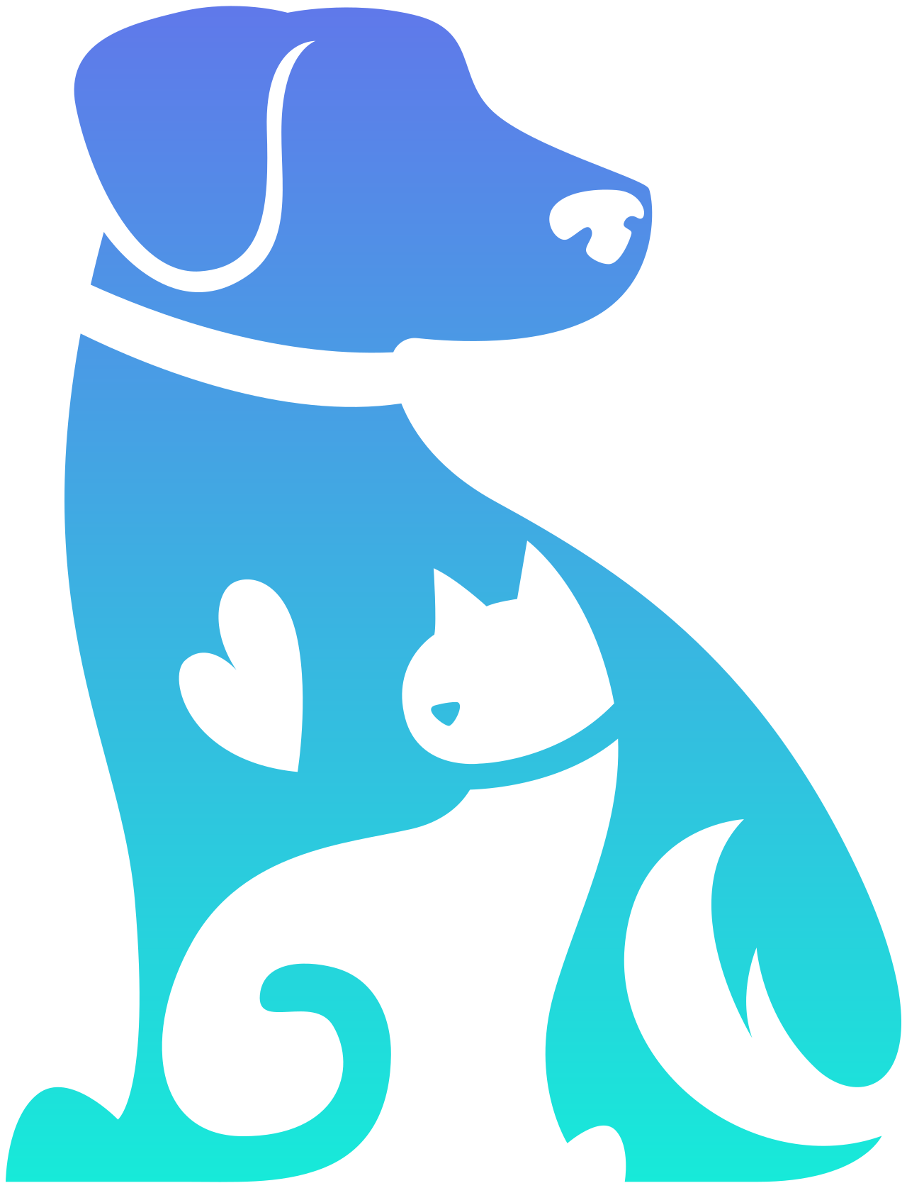 Paw &amp; Purr Surgical and Dental Care