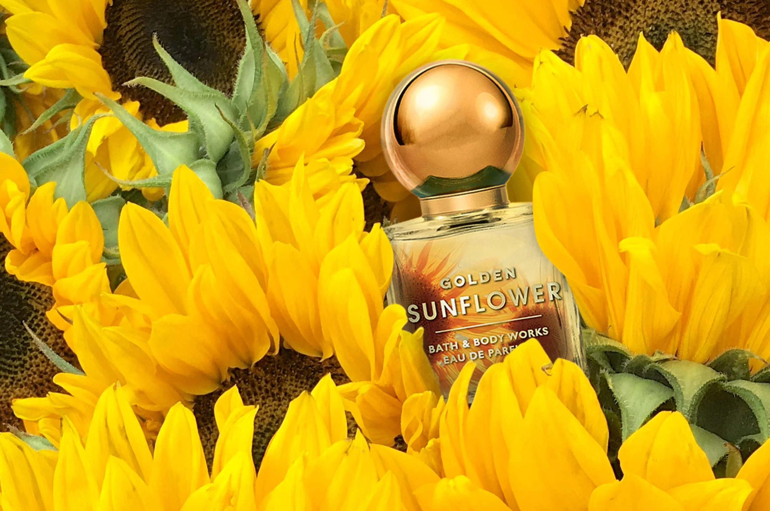 Bath & Body Works Golden Sunflower 5.jpg