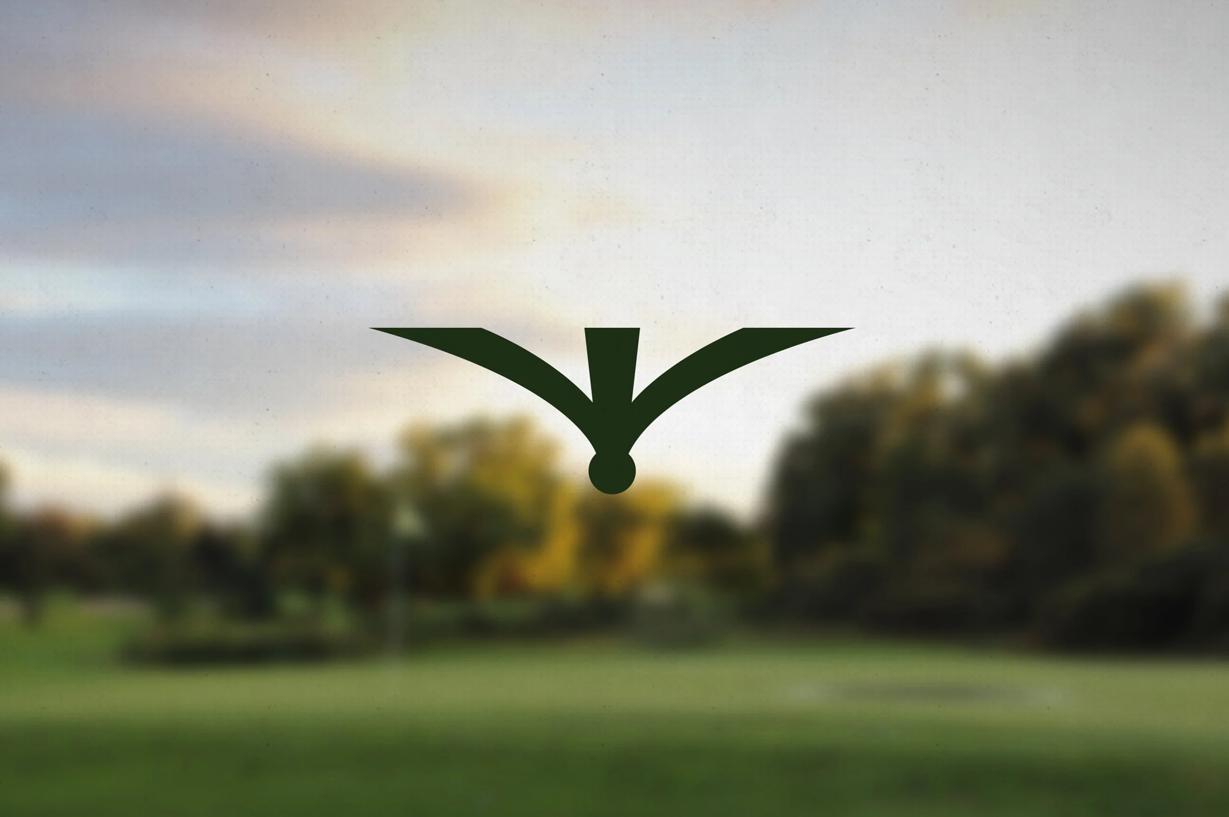 TopFlight Rebrand – School Project