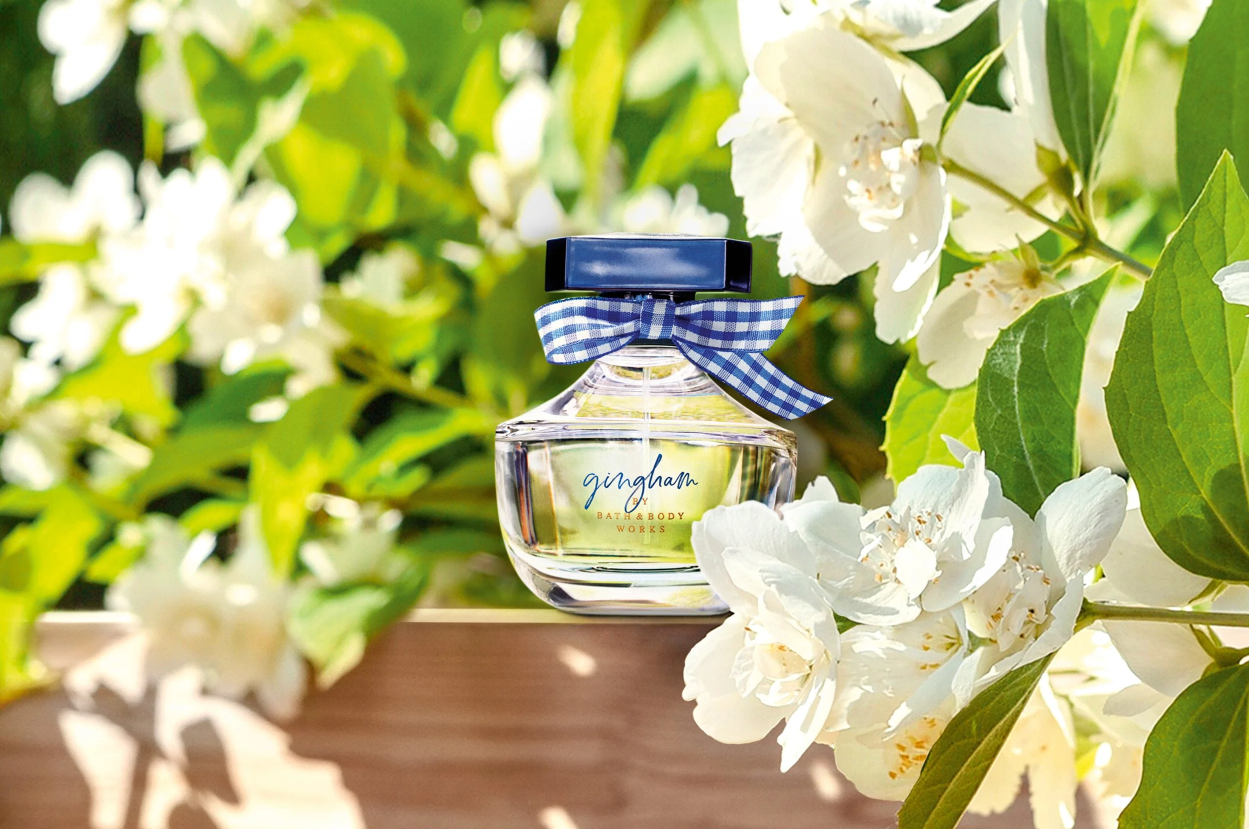 Bath & Body Works – Product Photo Development