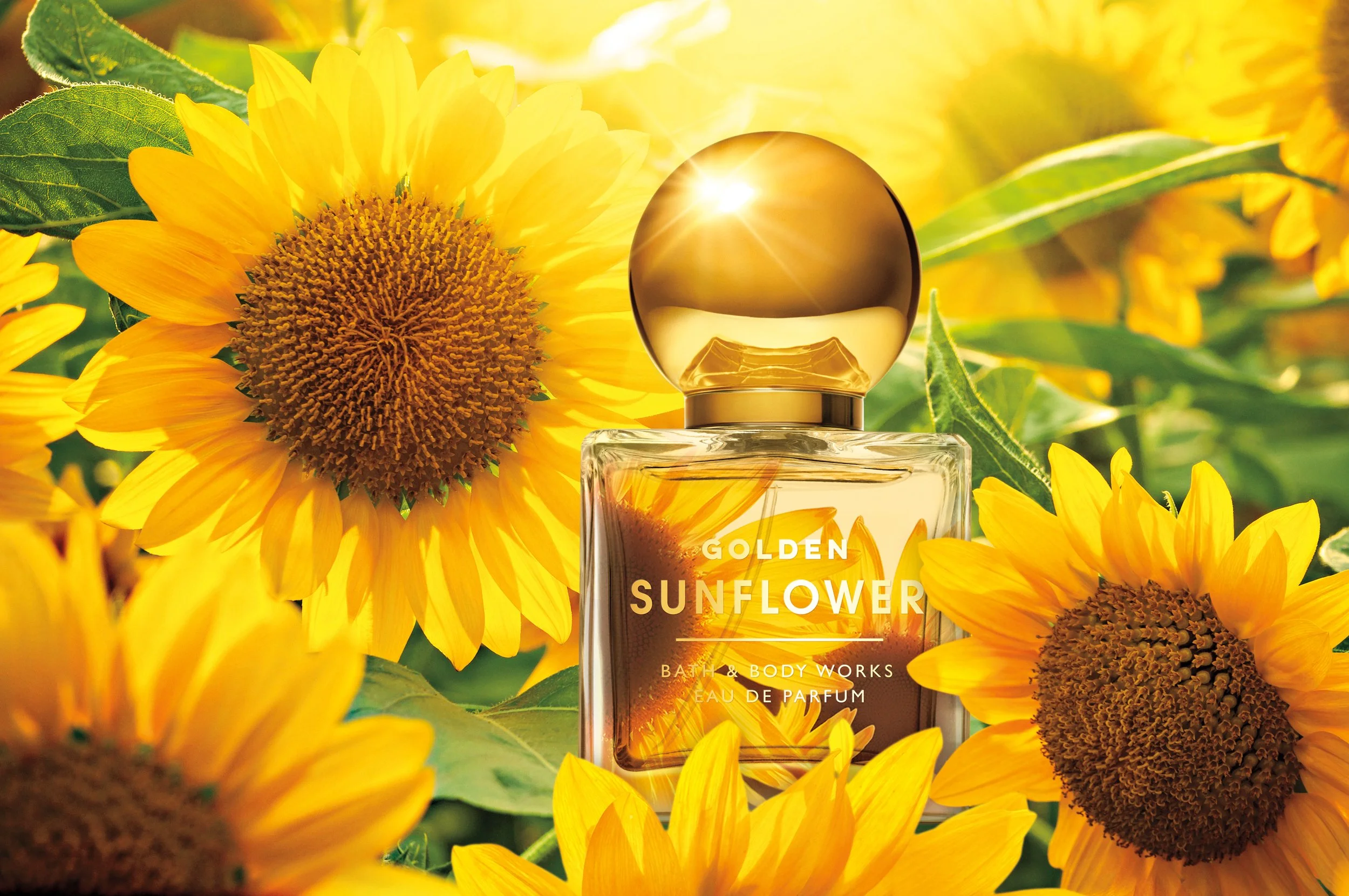 Bath & Body Works – Golden Sunflower