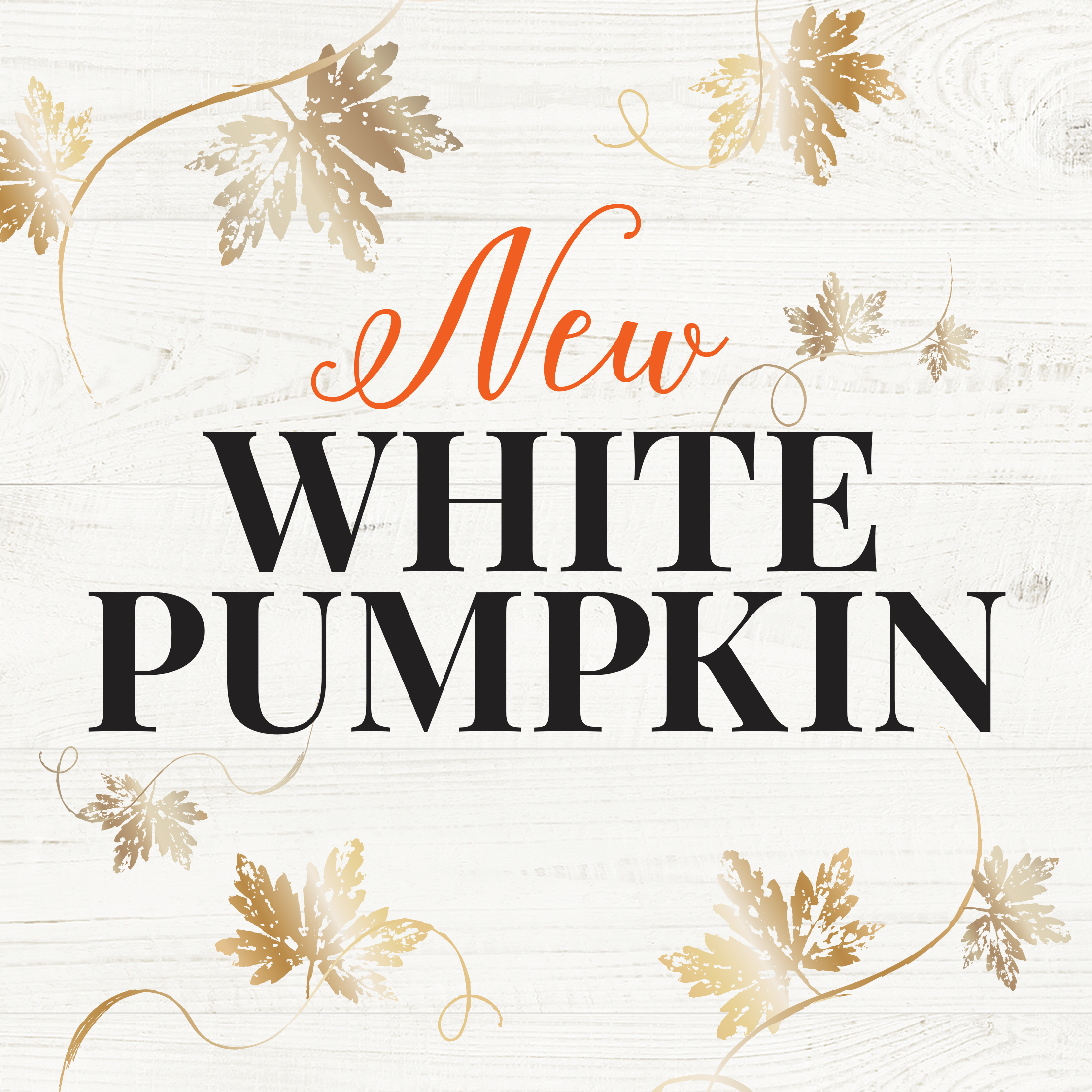 Bath & Body Works Fall 11.jpg