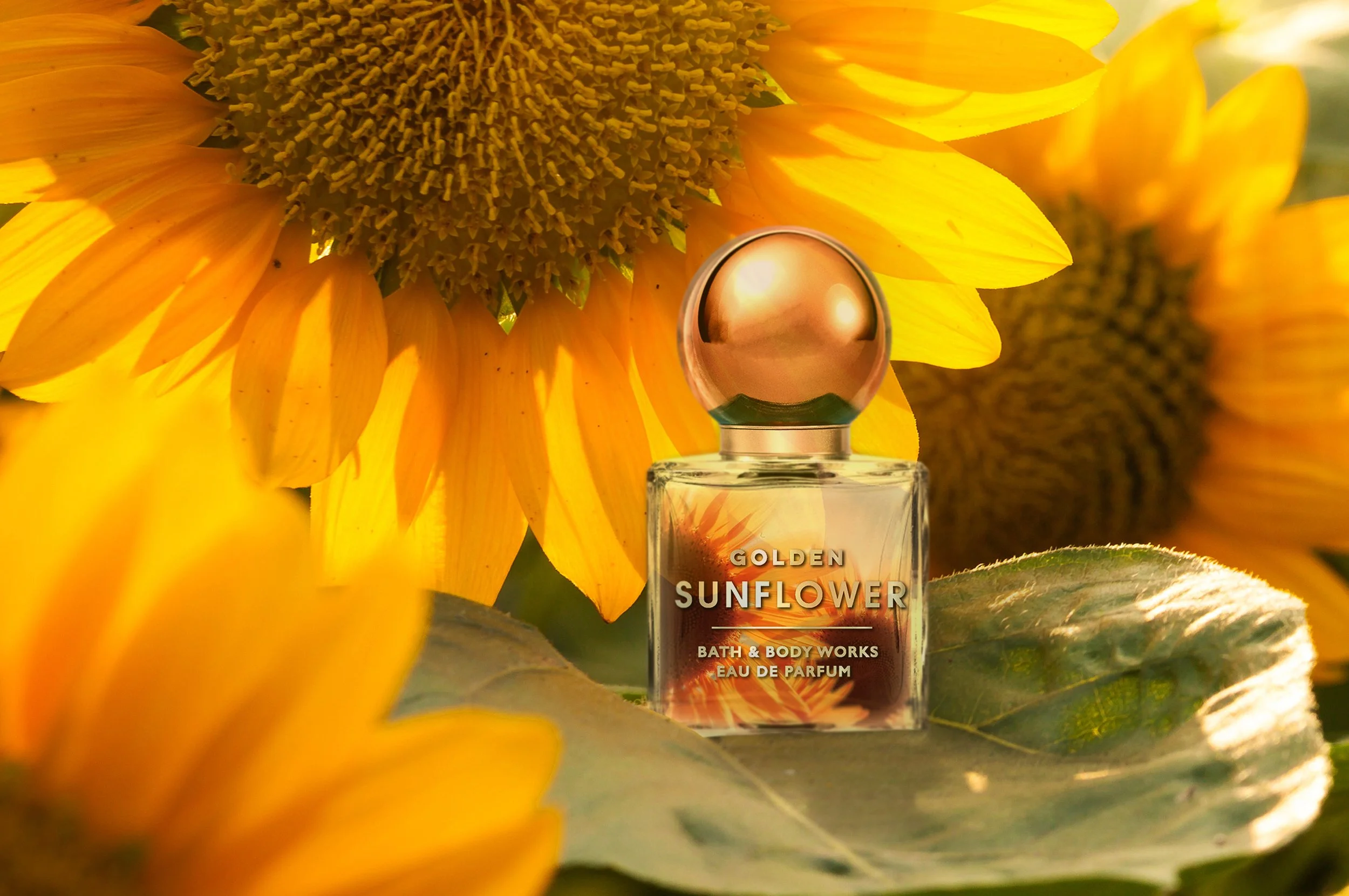 Bath & Body Works Golden Sunflower 4.jpg