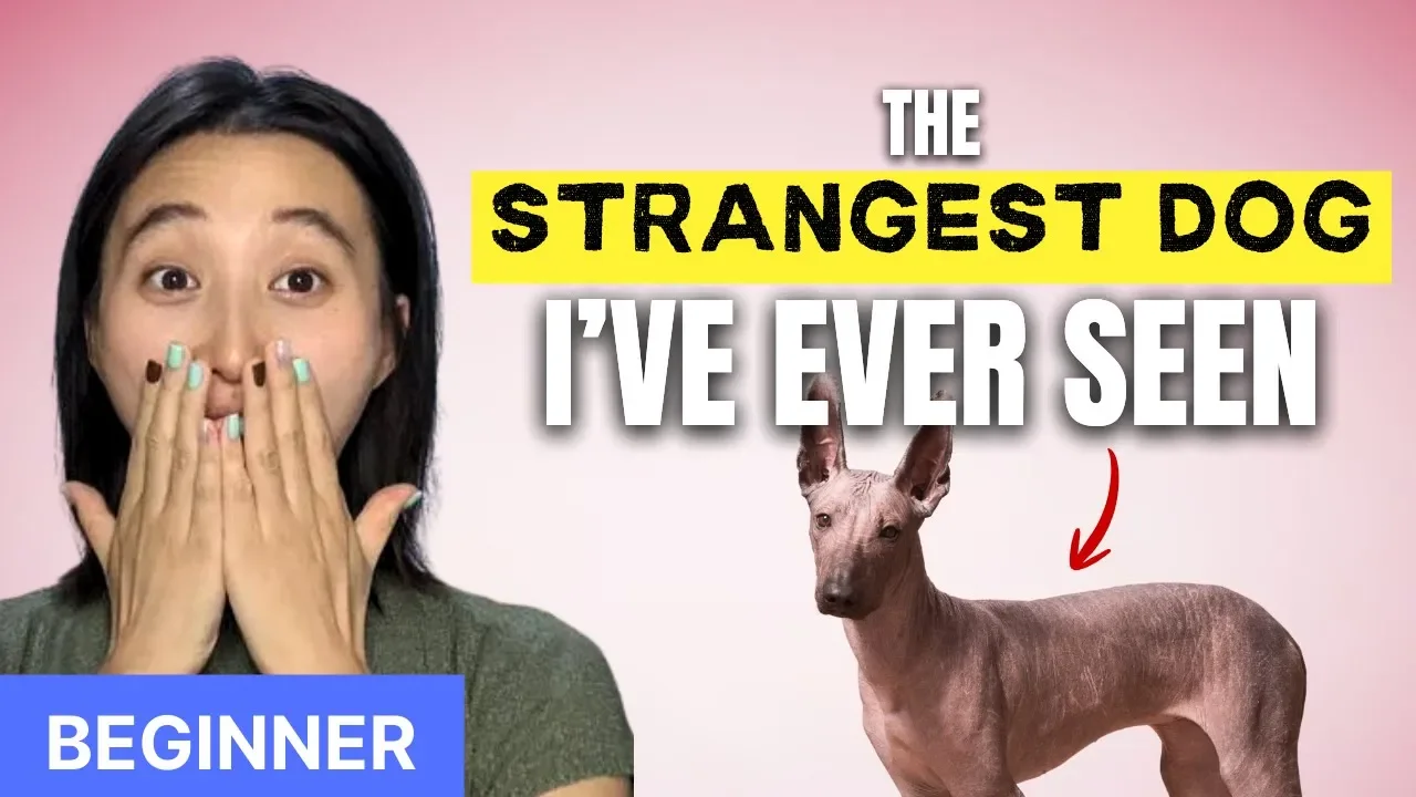 Meet my dog - He is a special one!