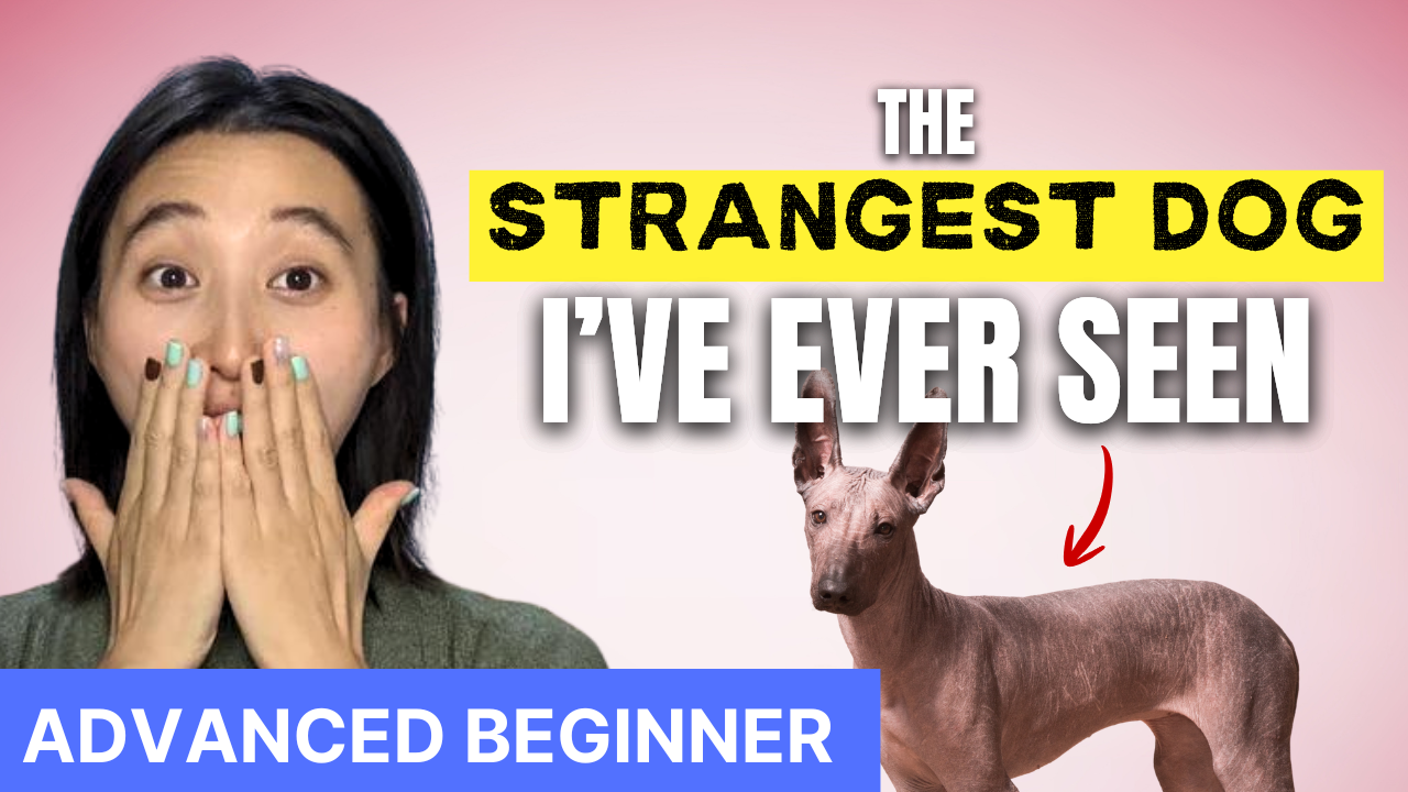 Meet my dog - He is a special one!