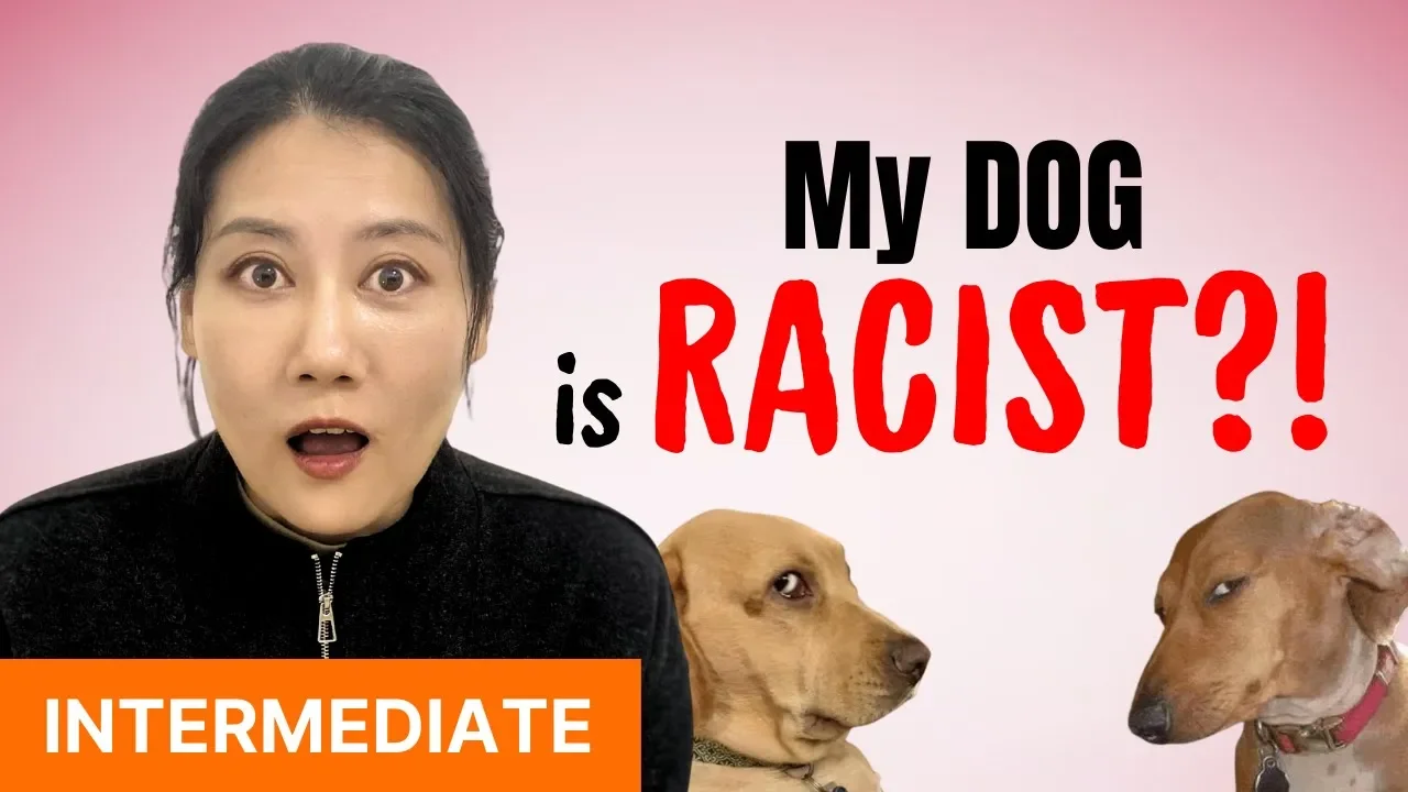 True stories of the judgmental dogs around me