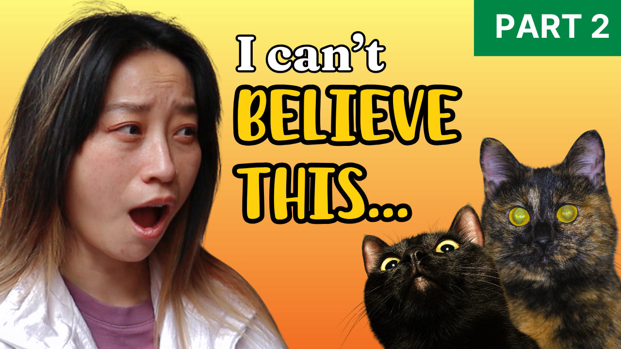 I travelled from Beijing to Shanghai in a zoo?